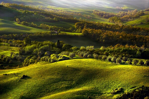 Paesaggio autunno colline forestali