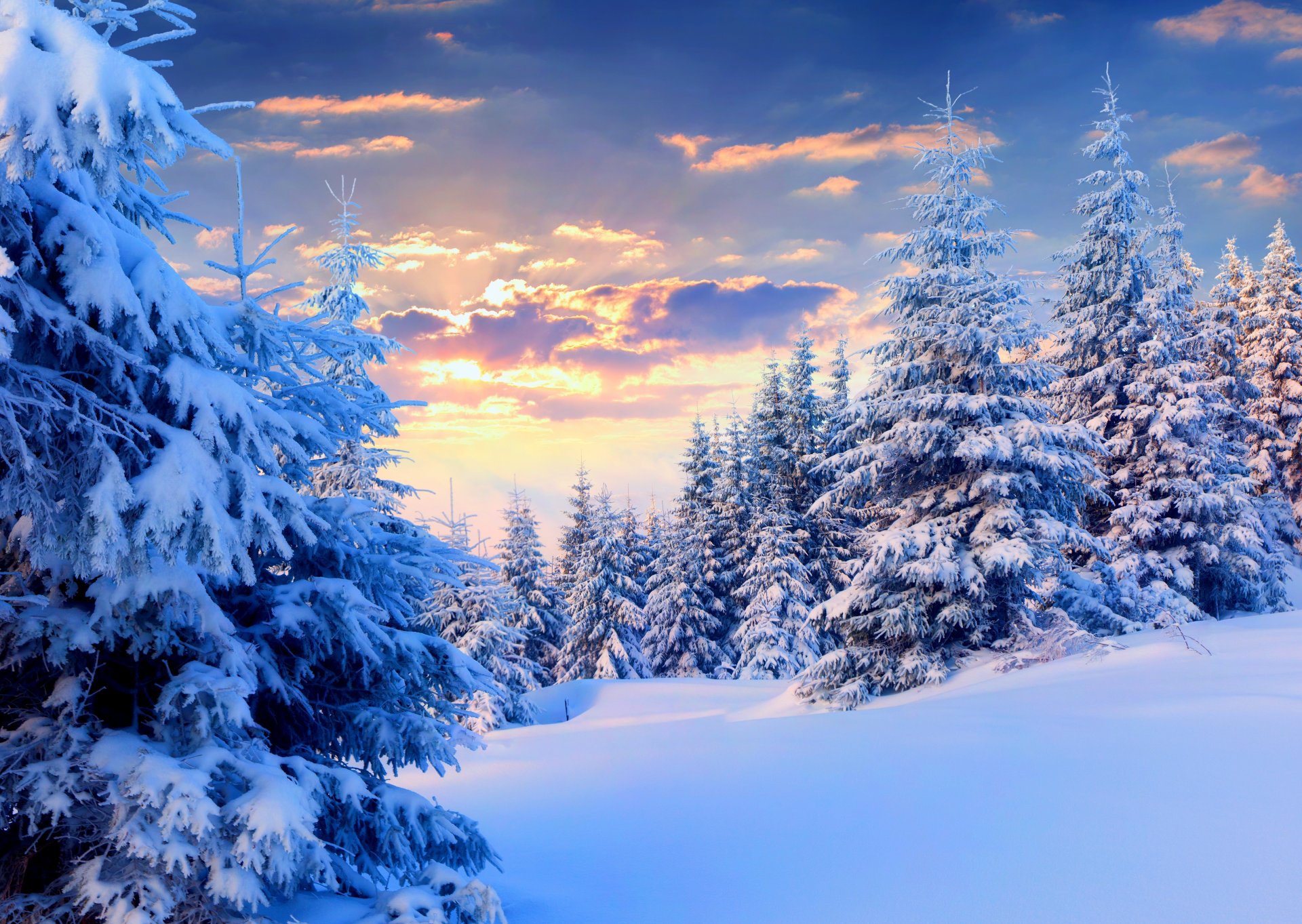 nature hiver neige ciel paysage hiver blanc coucher de soleil