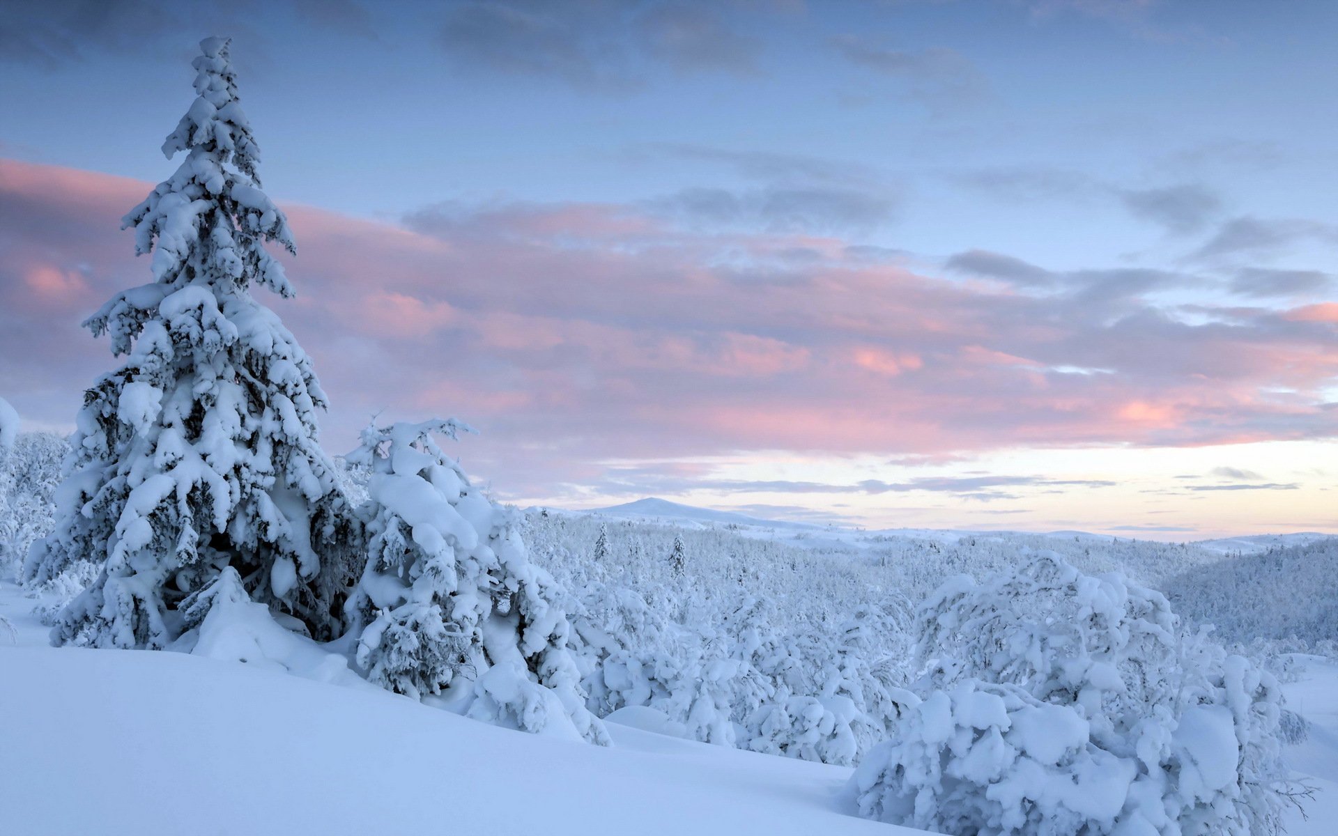 hiver coucher de soleil paysage