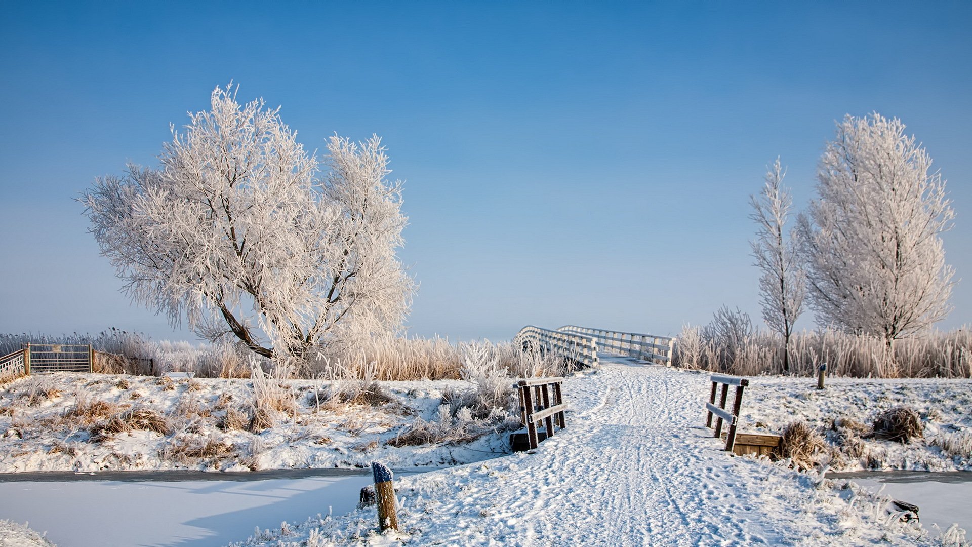 winter snow bridge landscape