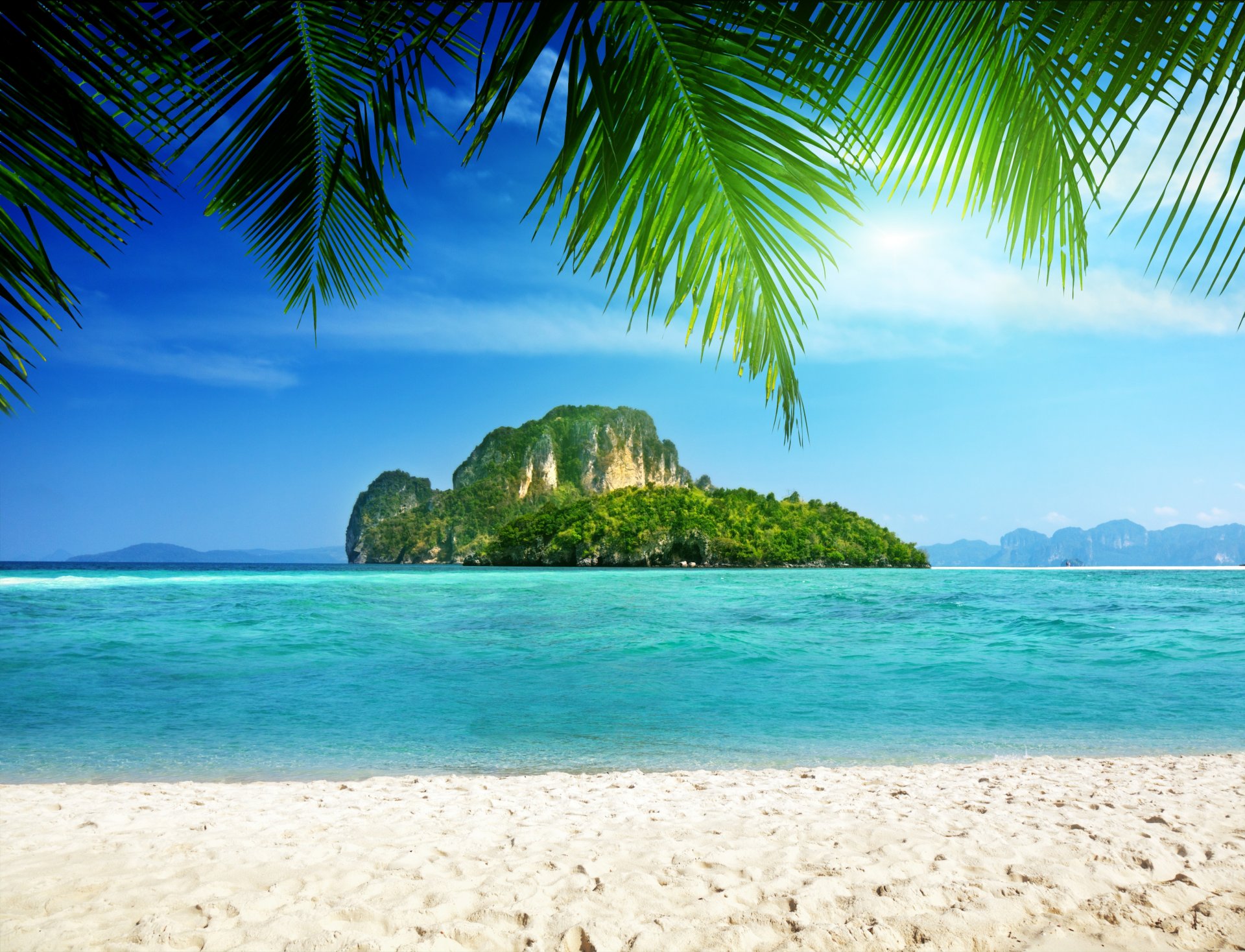 tropics palm sea coast island rocks tropical palm trees rock