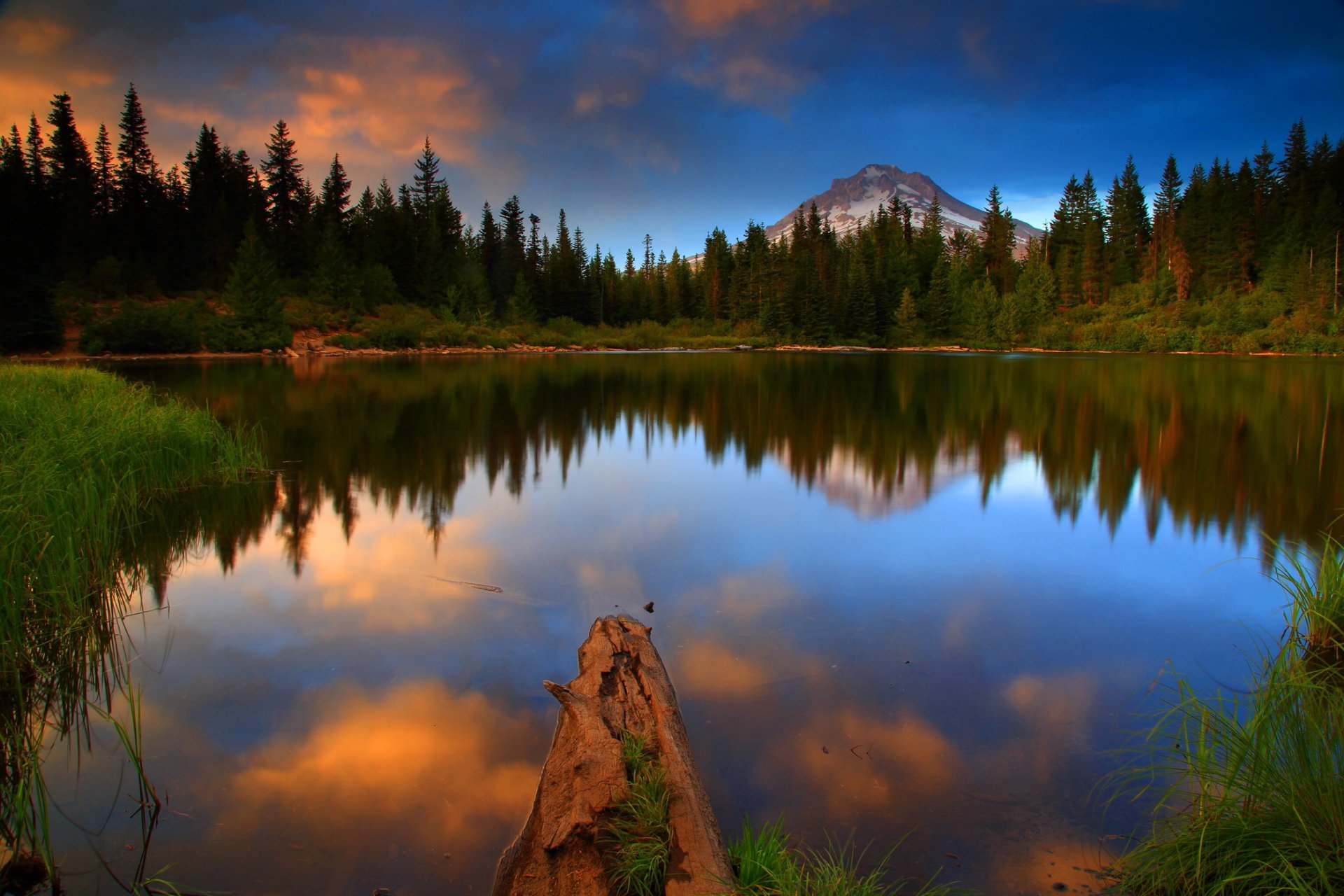 lake forest united states water landscape mt hood national oregon nature photo