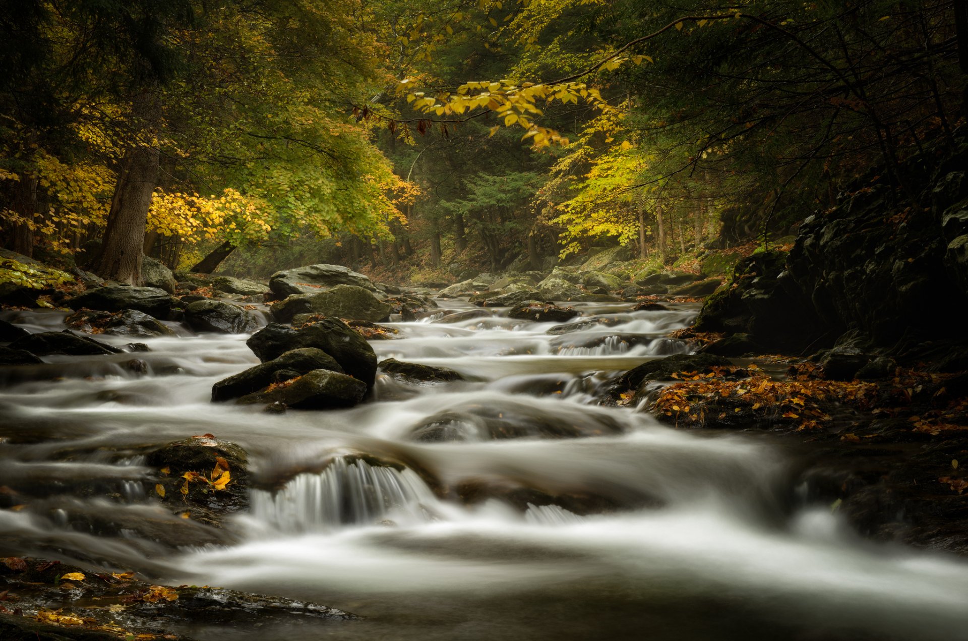 bash bish brook massachusetts ruisseau rivière pierres forêt automne