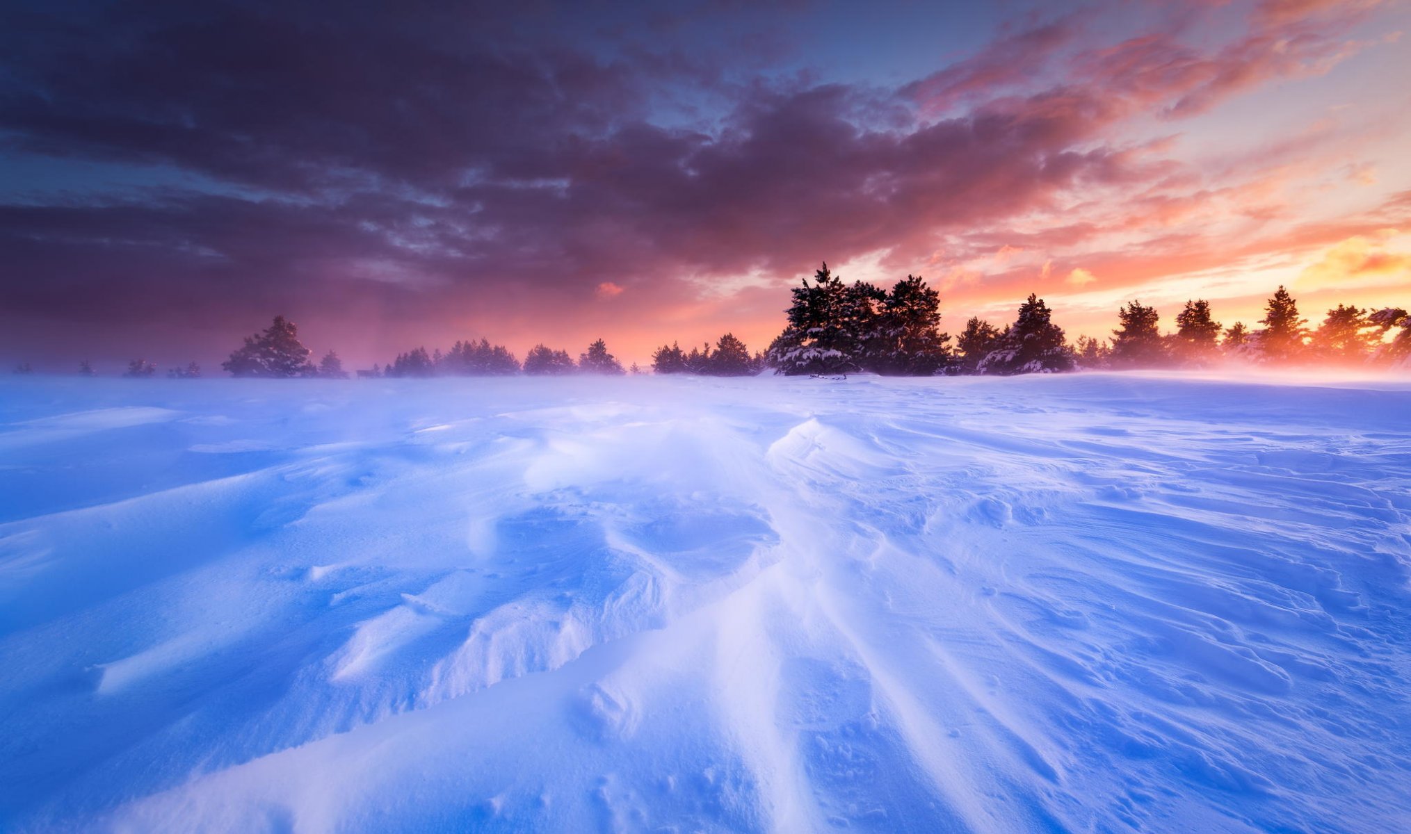 france provence plateau plain snow winter blizzard tree sunset sky landscape