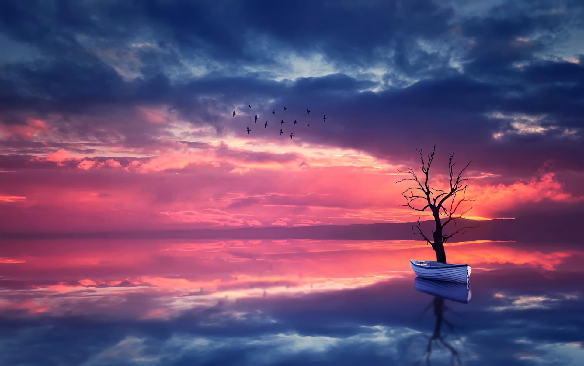barca albero acqua natura paesaggio cielo tramonto uccelli riflessione