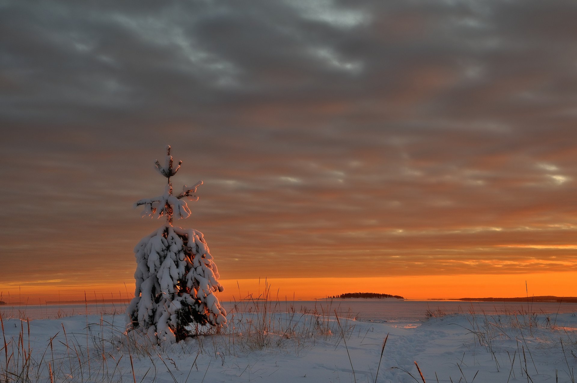 lac arbre de noël neige glace hiver nuages soir coucher de soleil