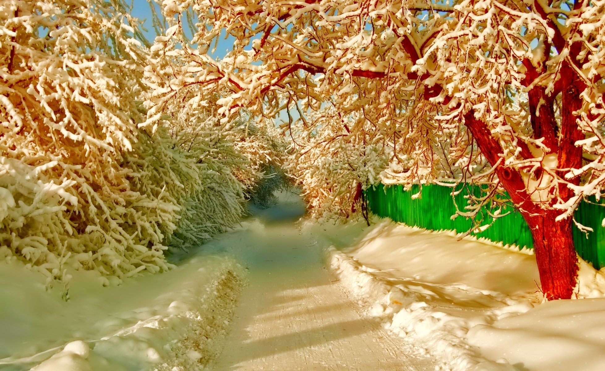 winter snow road street fence tree