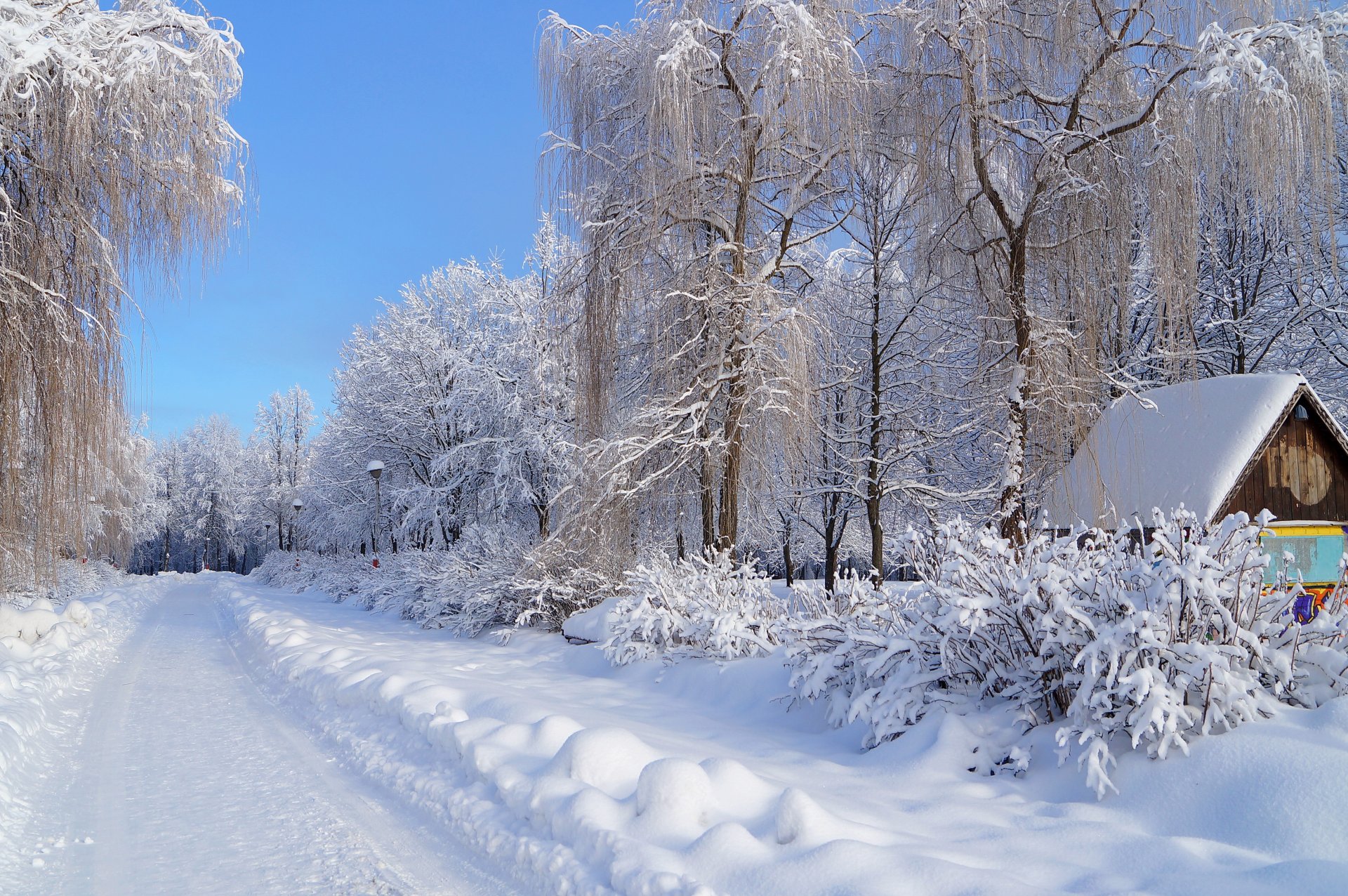 invierno nieve carretera árboles escarcha casa nieve linterna calle cielo