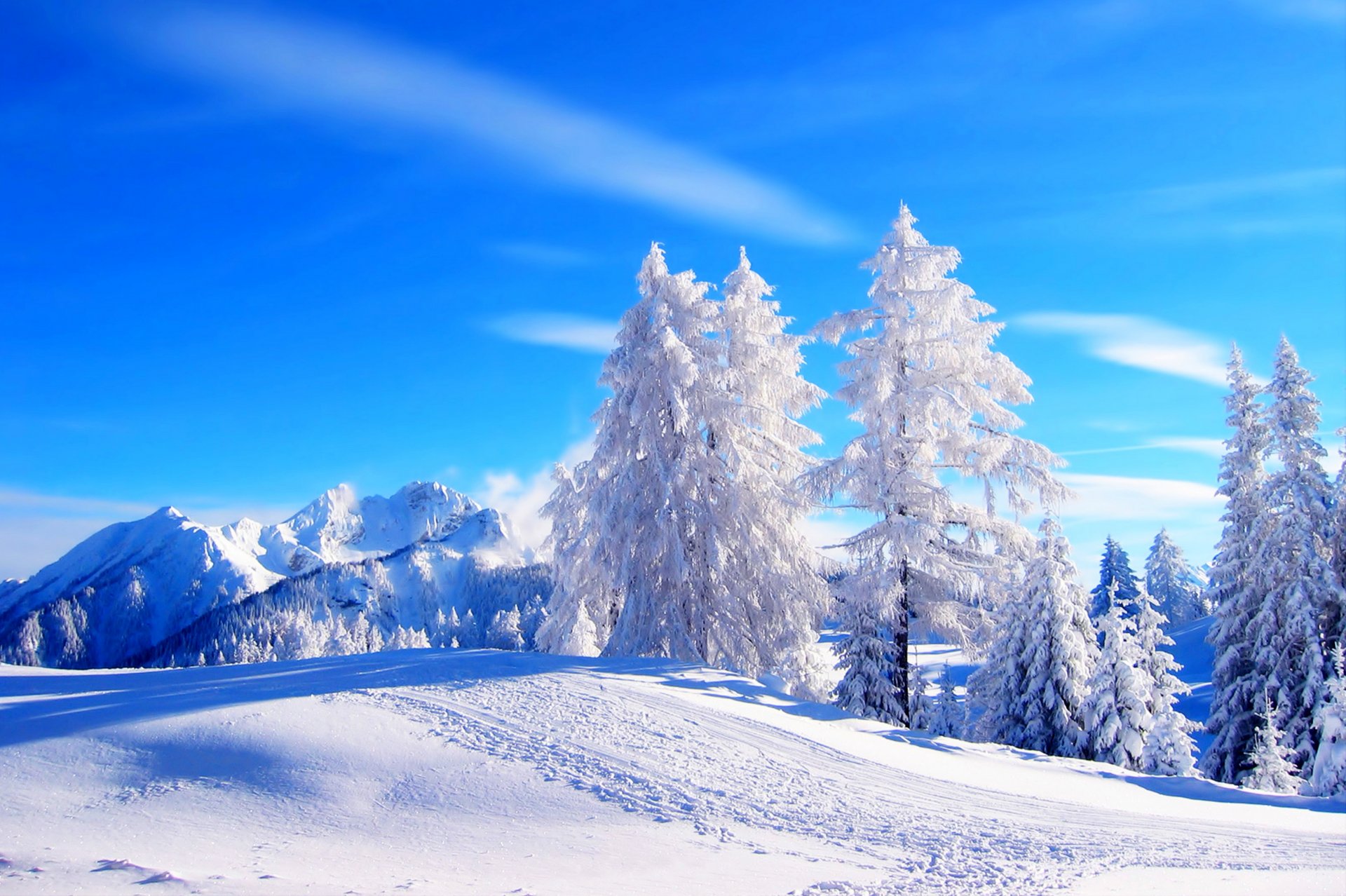 naturaleza montañas invierno nieve carretera árboles bosque cielo paisaje invierno blanco fresco agradable puesta de sol