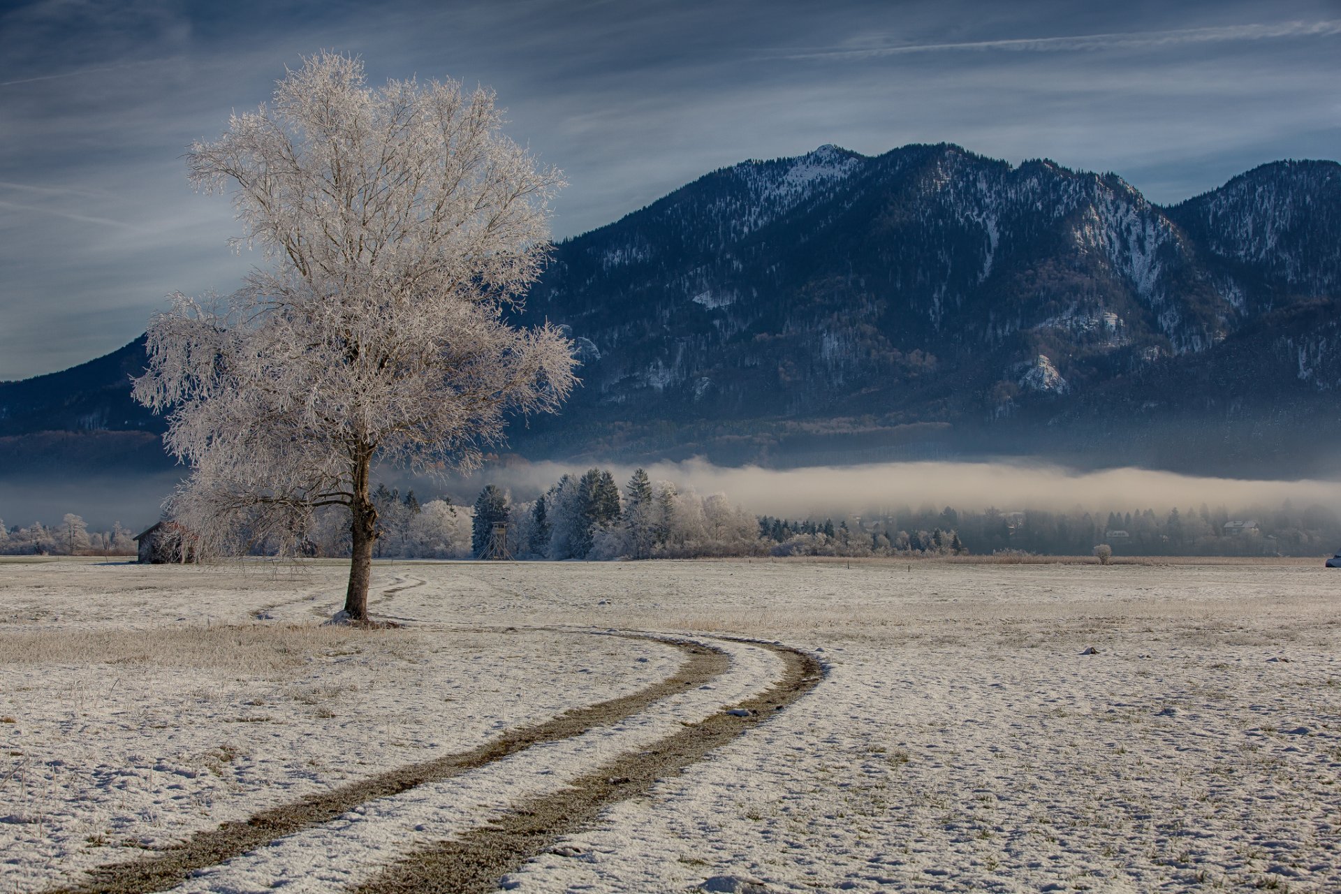 baviera germania inverno albero montagne