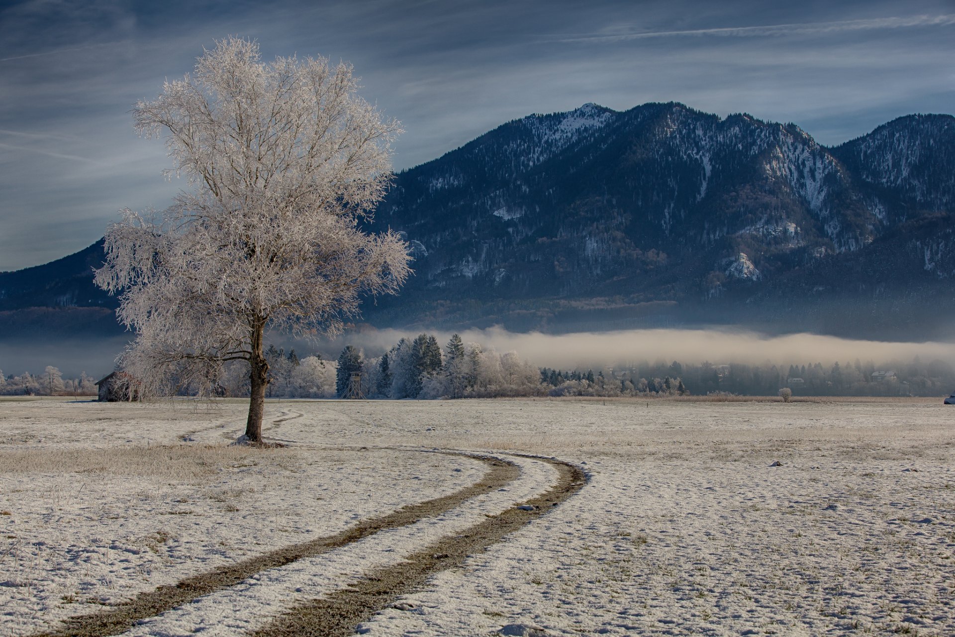 bavière allemagne hiver bois montagnes