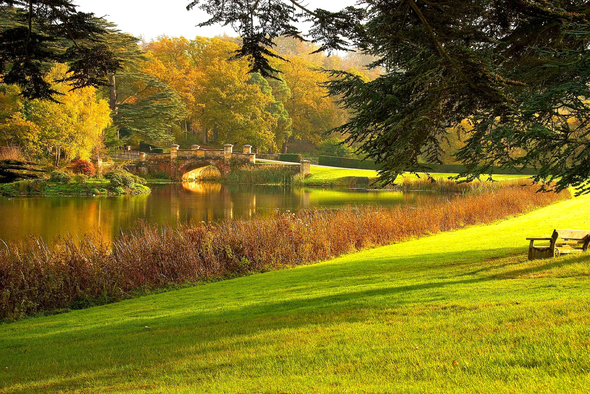park rasen bäume gras teich brücke bank herbst