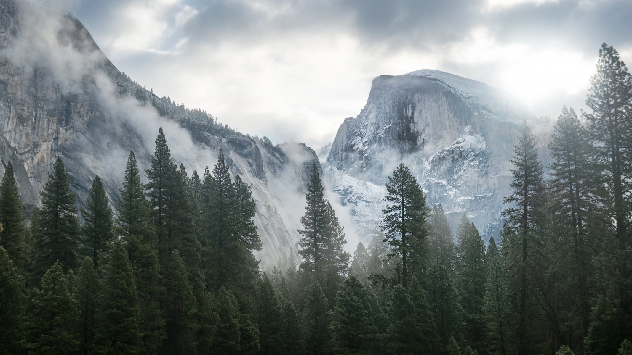 yosemite manzana mac bosque montañas