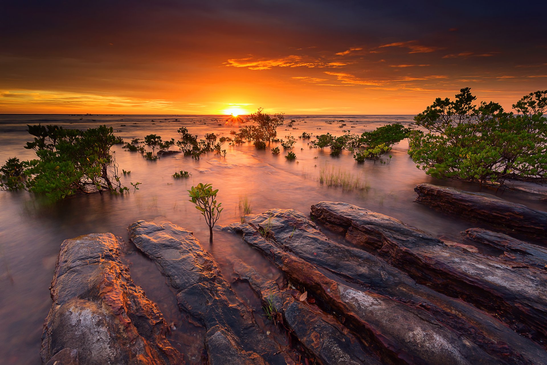 australien abend sonnenuntergang mangroven meer ozean wasser steine himmel sonne