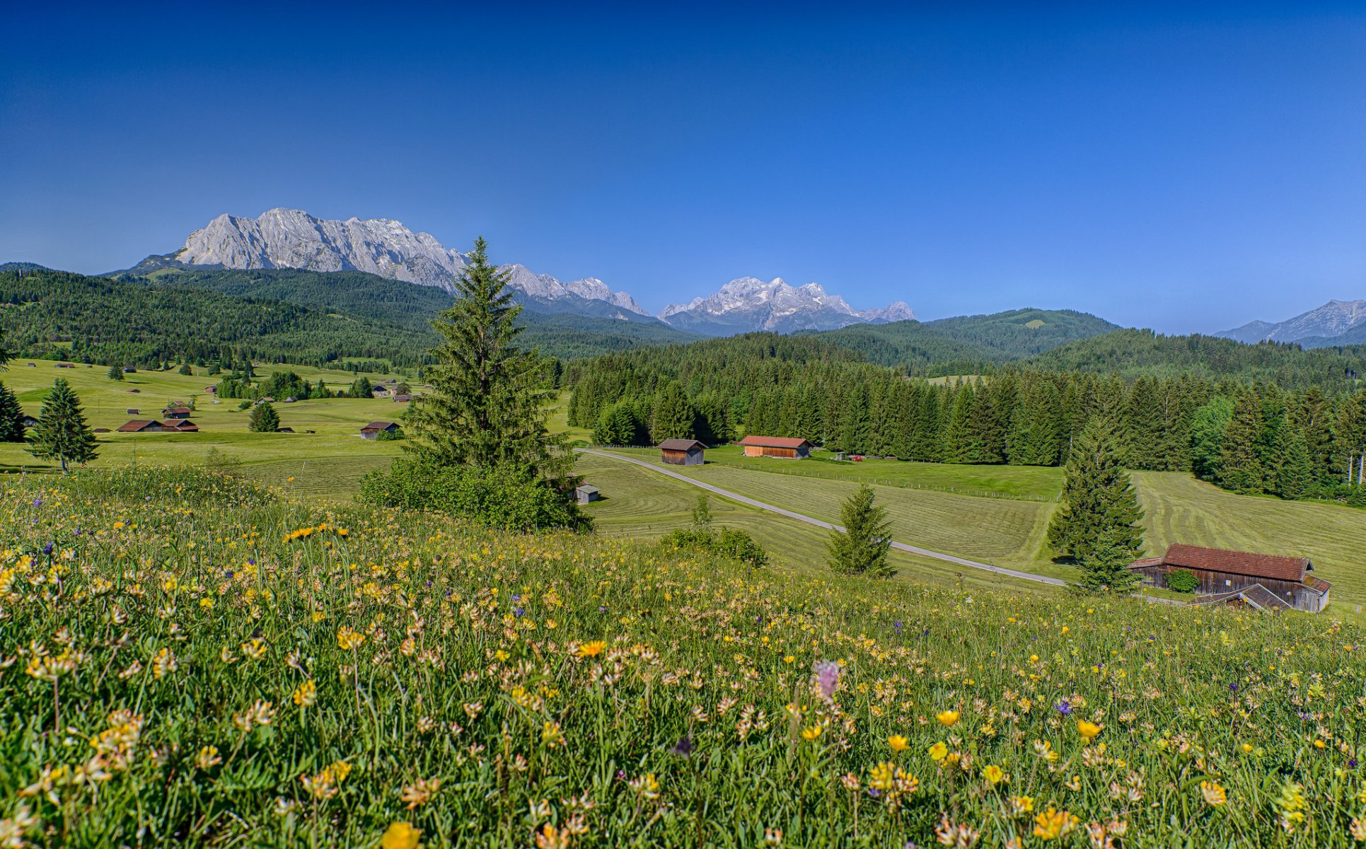baviera alemania alpes prados flores montañas bosque casas paisaje