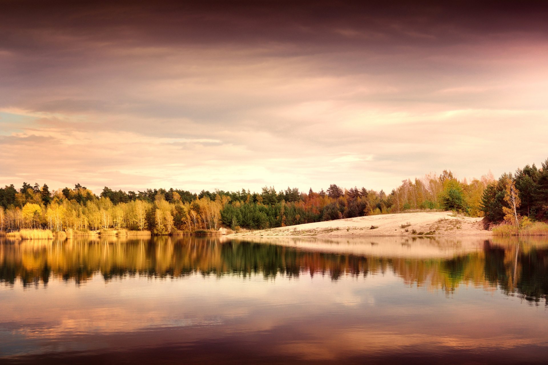 erzgebirgskreis germania monti metalliferi autunno natura paesaggio sera riva lago riflessione alberi foglie giallo verde