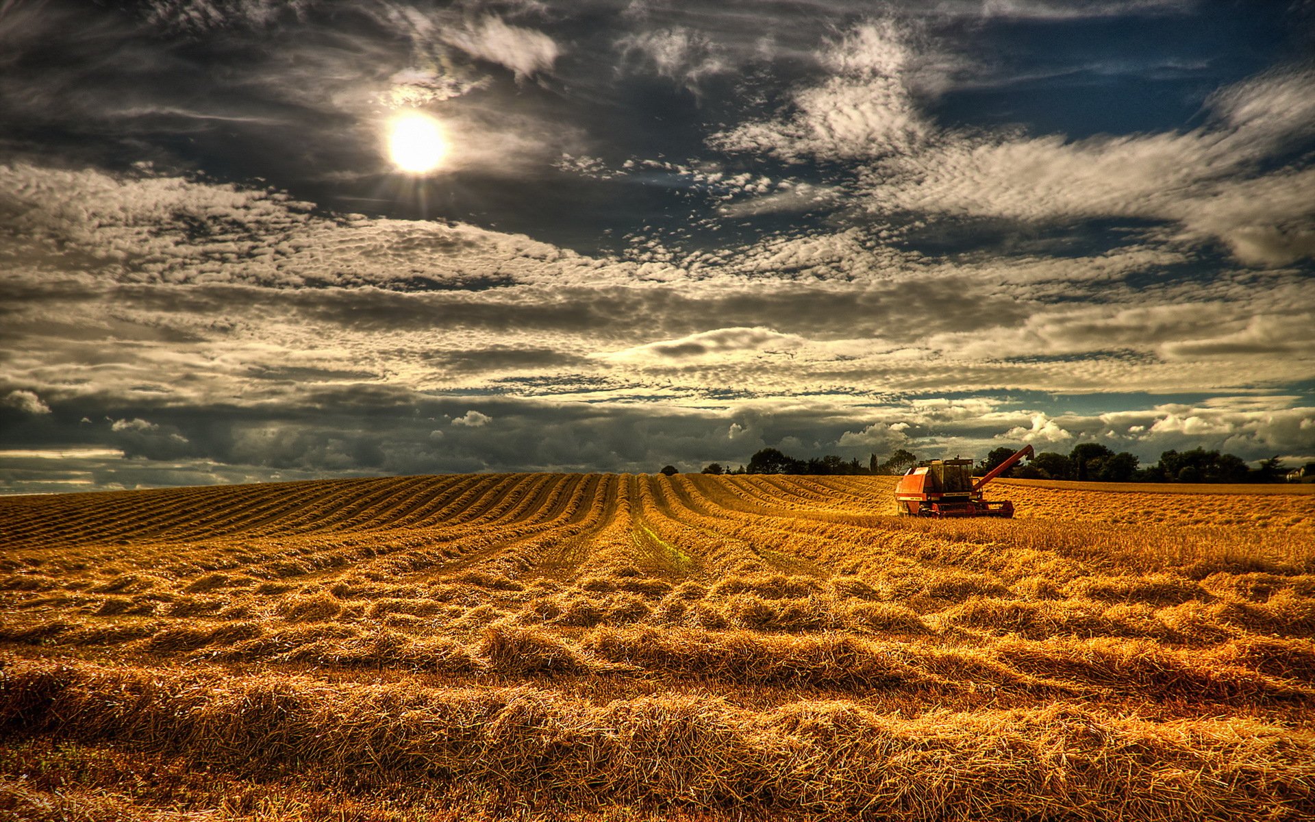 champ ciel paysage été