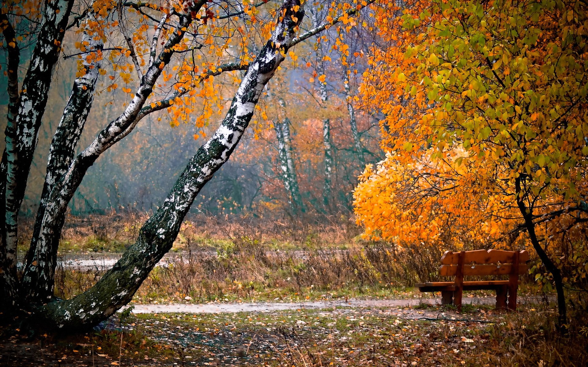 park bench leaves autumn town