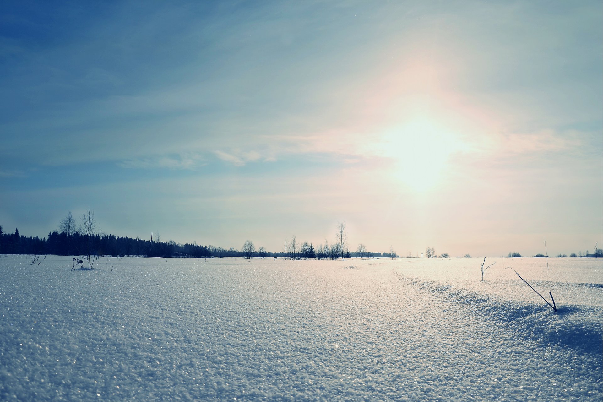 nature hiver paysage champ aube neige paillettes soleil