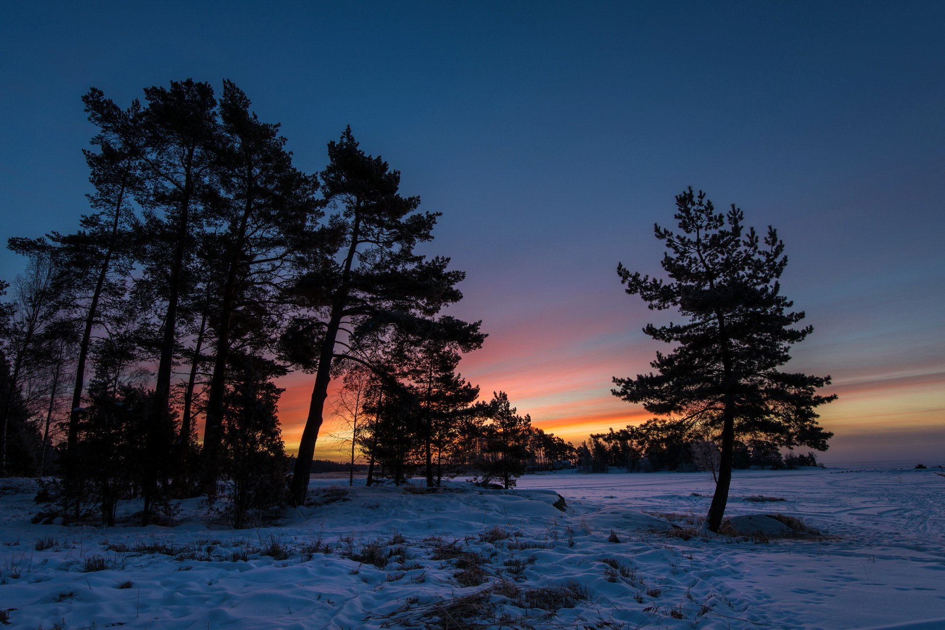 sonnenuntergang winter bäume landschaft