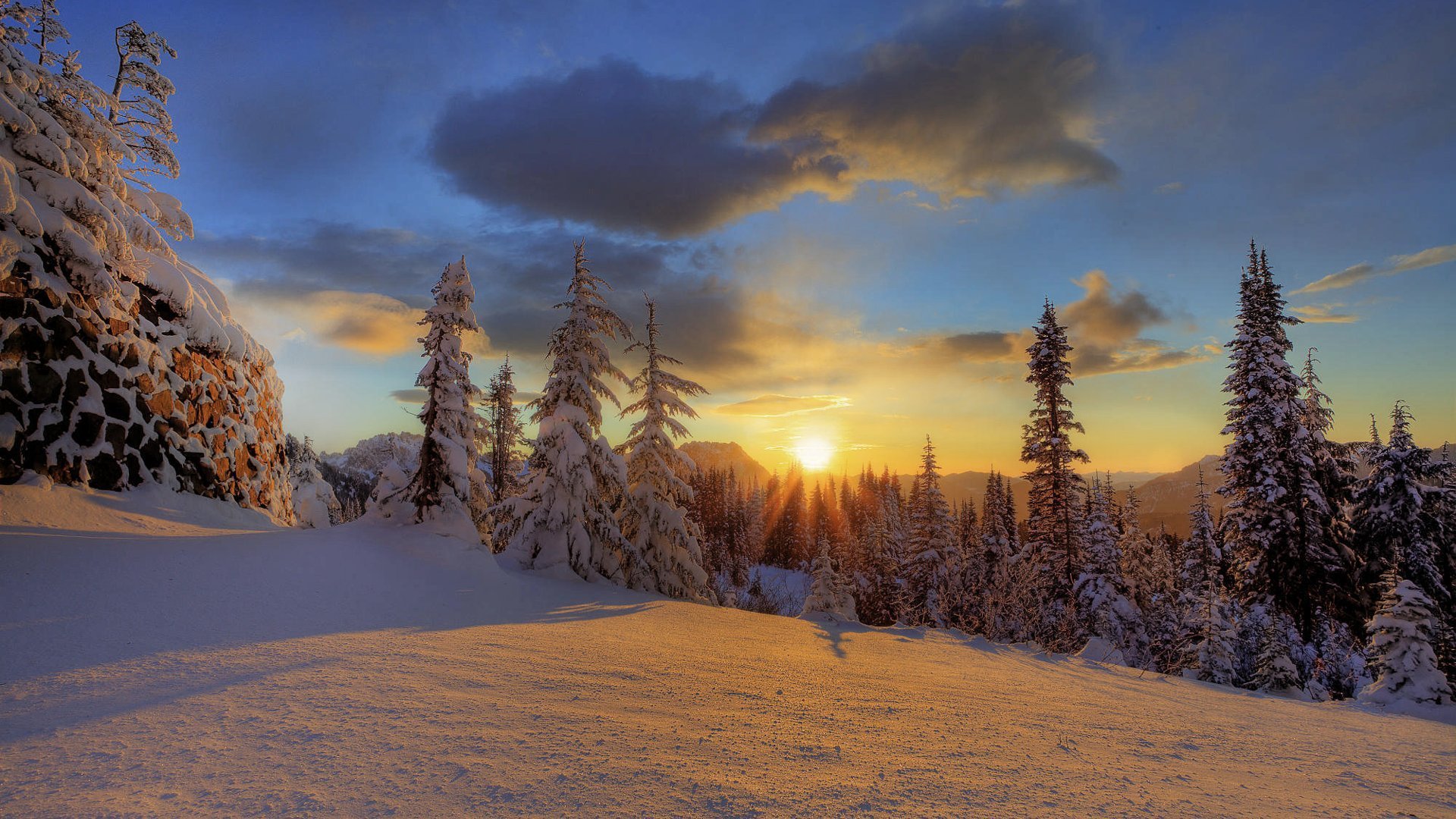 mount rainier nationalpark winter wald schnee berg