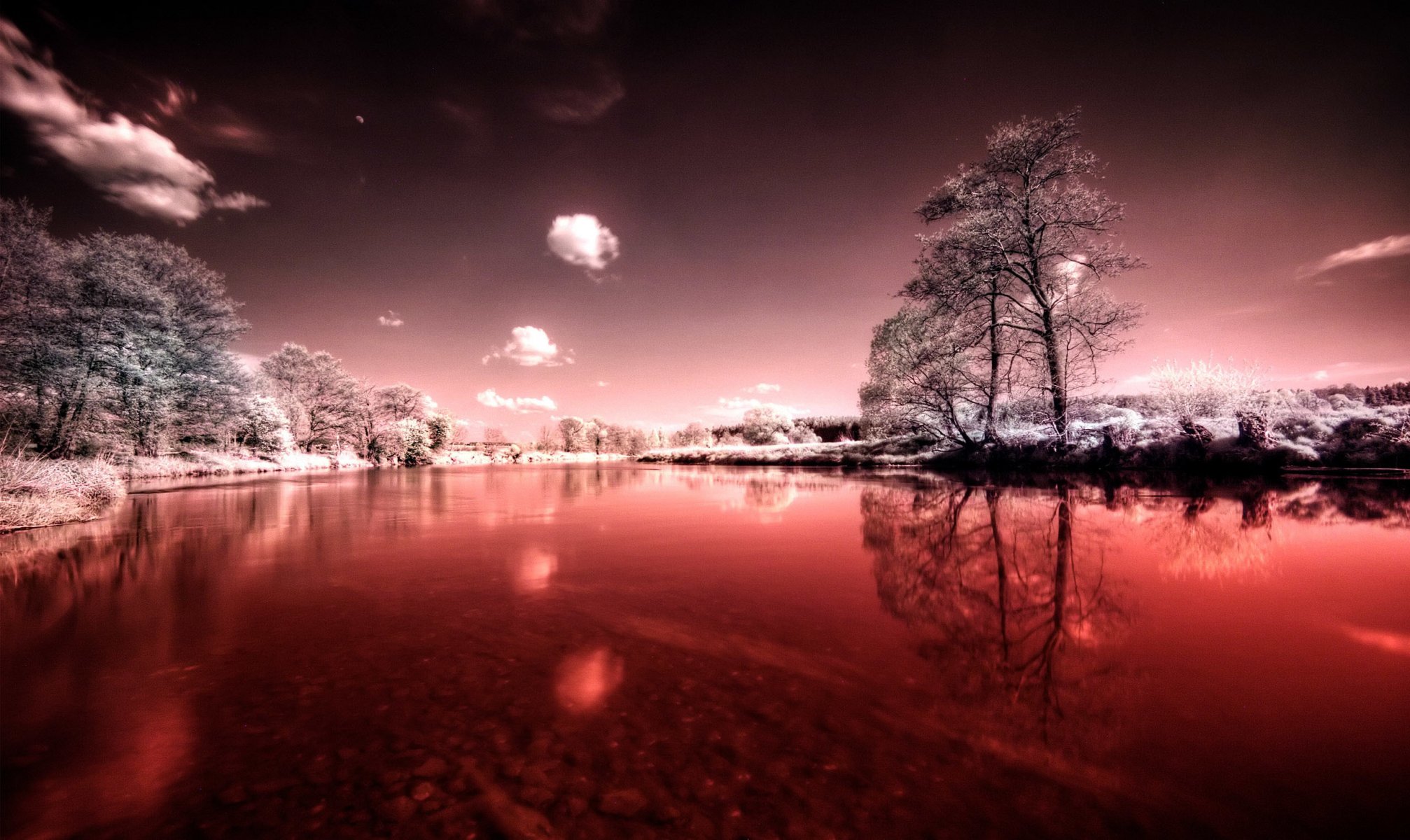 natura fiume cielo negativo inverno neve estate alberi erba foglie orizzonte nuvole riflessione