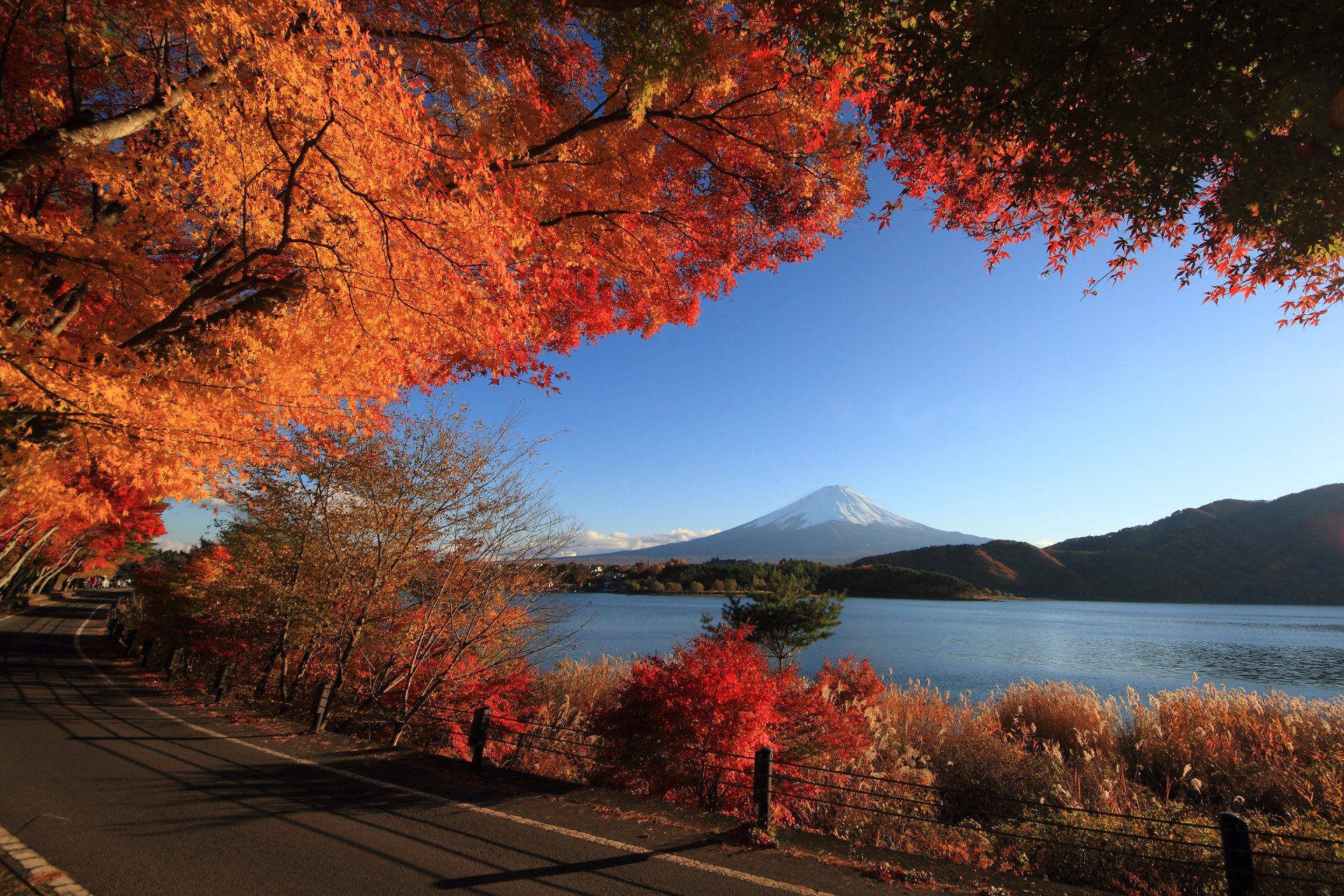 cielo montagna lago strada alberi autunno