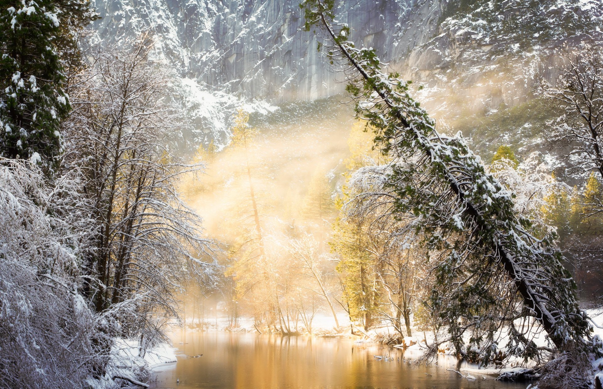 hiver rivière forêt arbres brouillard lumière nature photo
