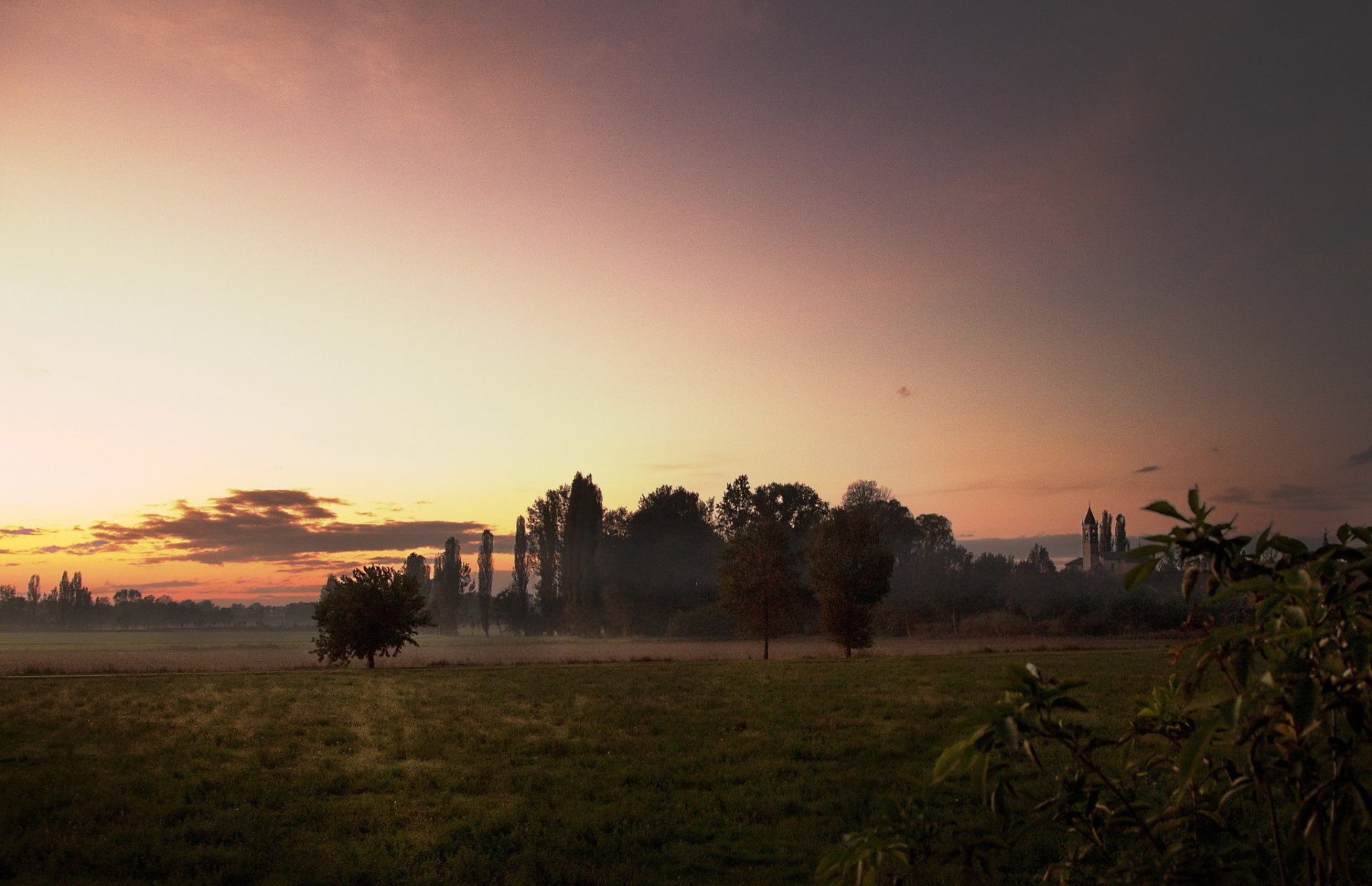feld bäume abend sonnenuntergang sommer
