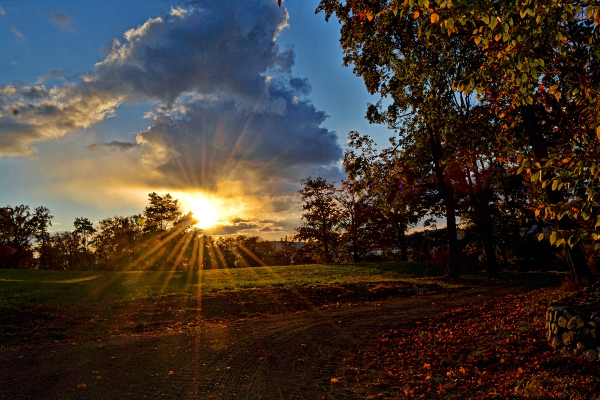 strada alberi cielo nuvole sole raggi tramonto sera