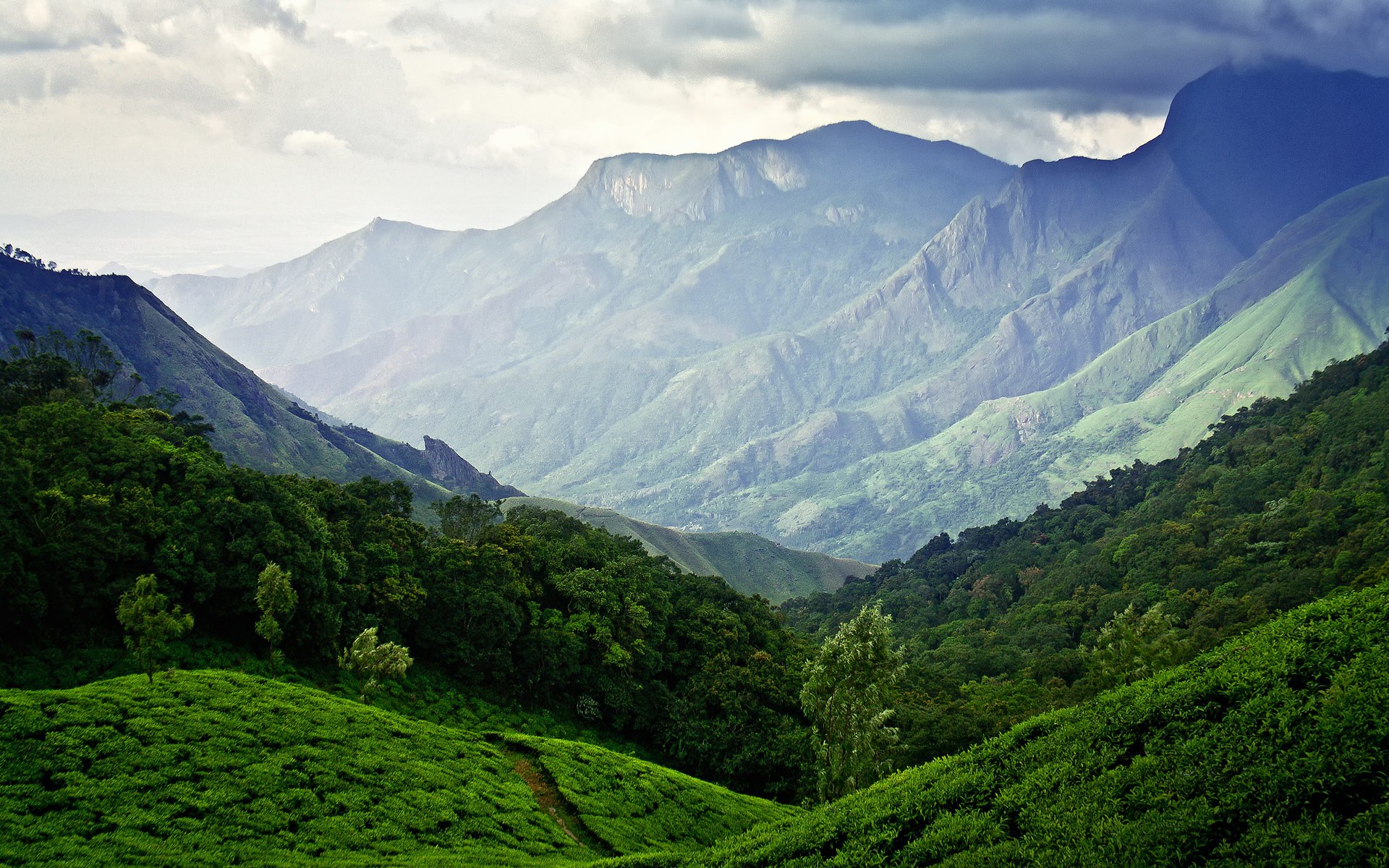 munnar india piantagioni di tè montagne cielo