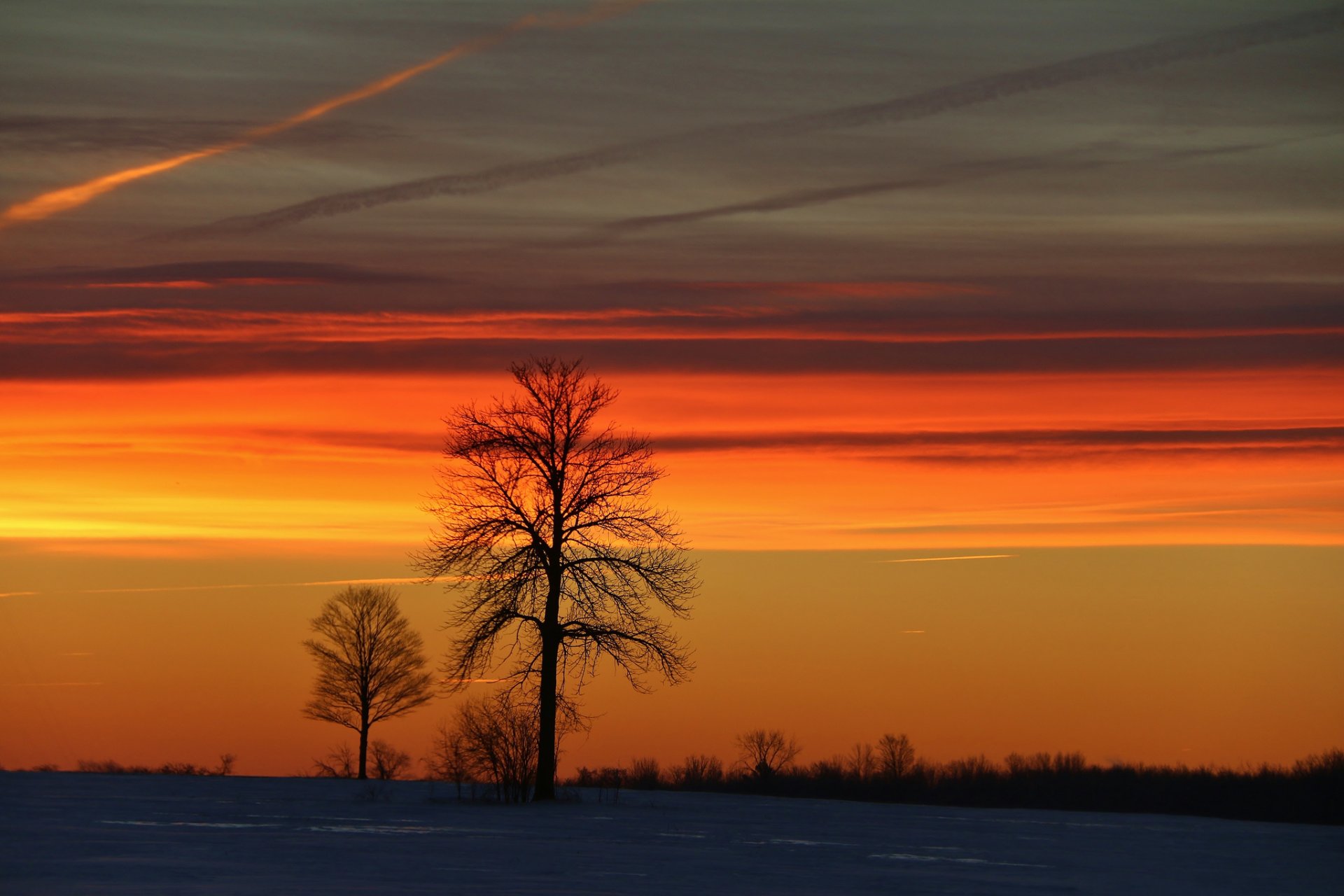 bäume winter morgen sonnenaufgang