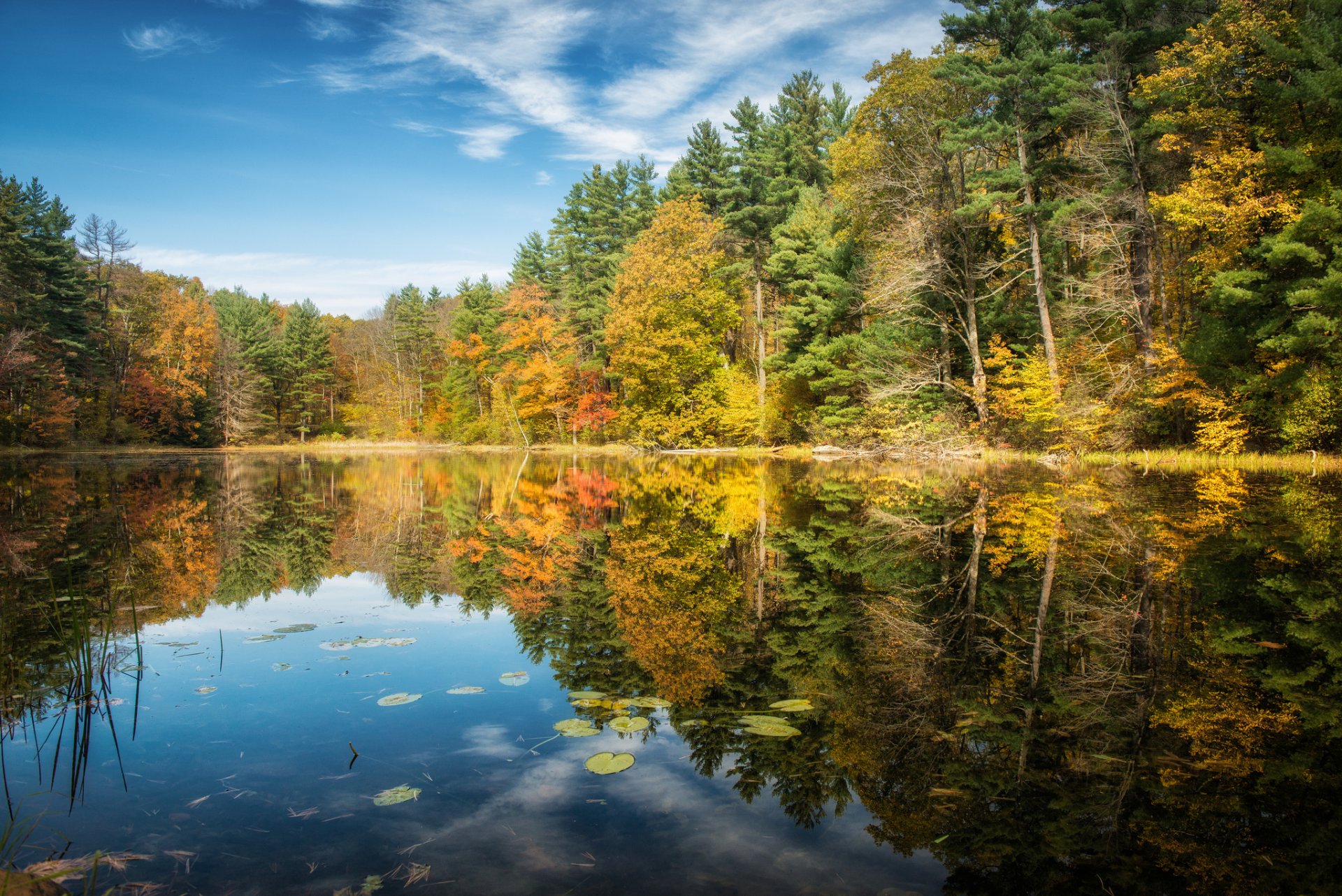 norfolk connecticut lake forest autumn tree reflection