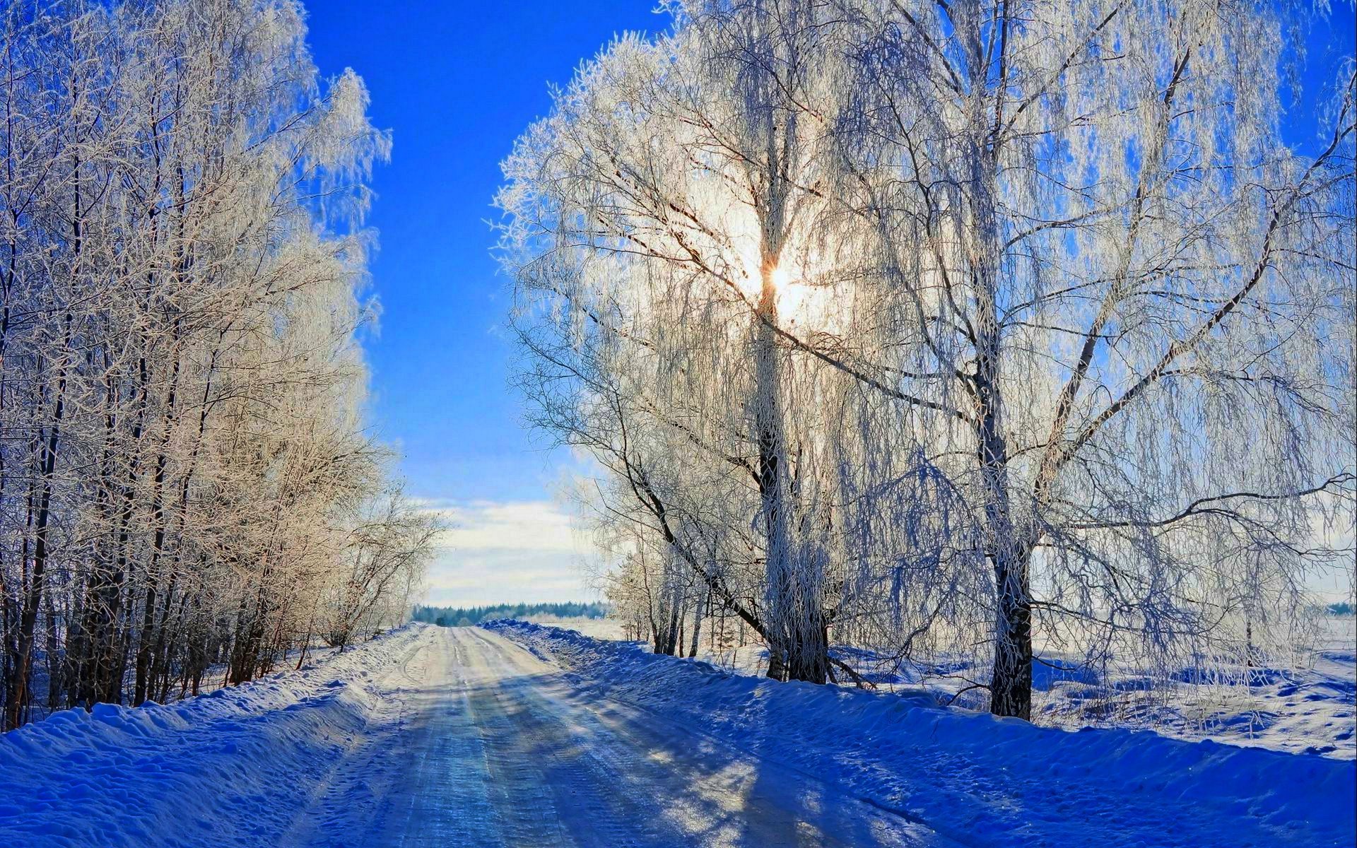 nature winter snow road trees forest sky landscape winter white cool nice sunset