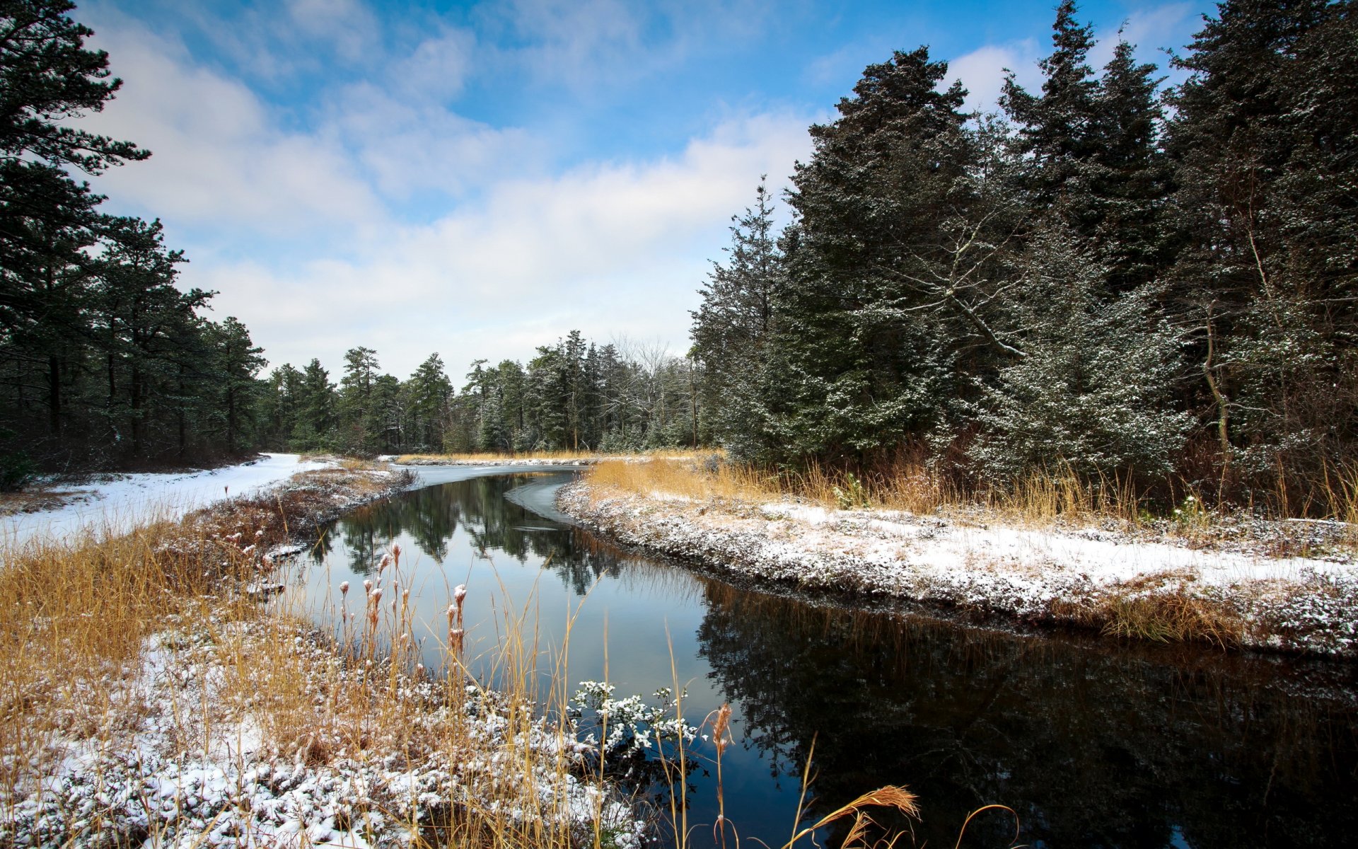 fiume foresta inverno paesaggio