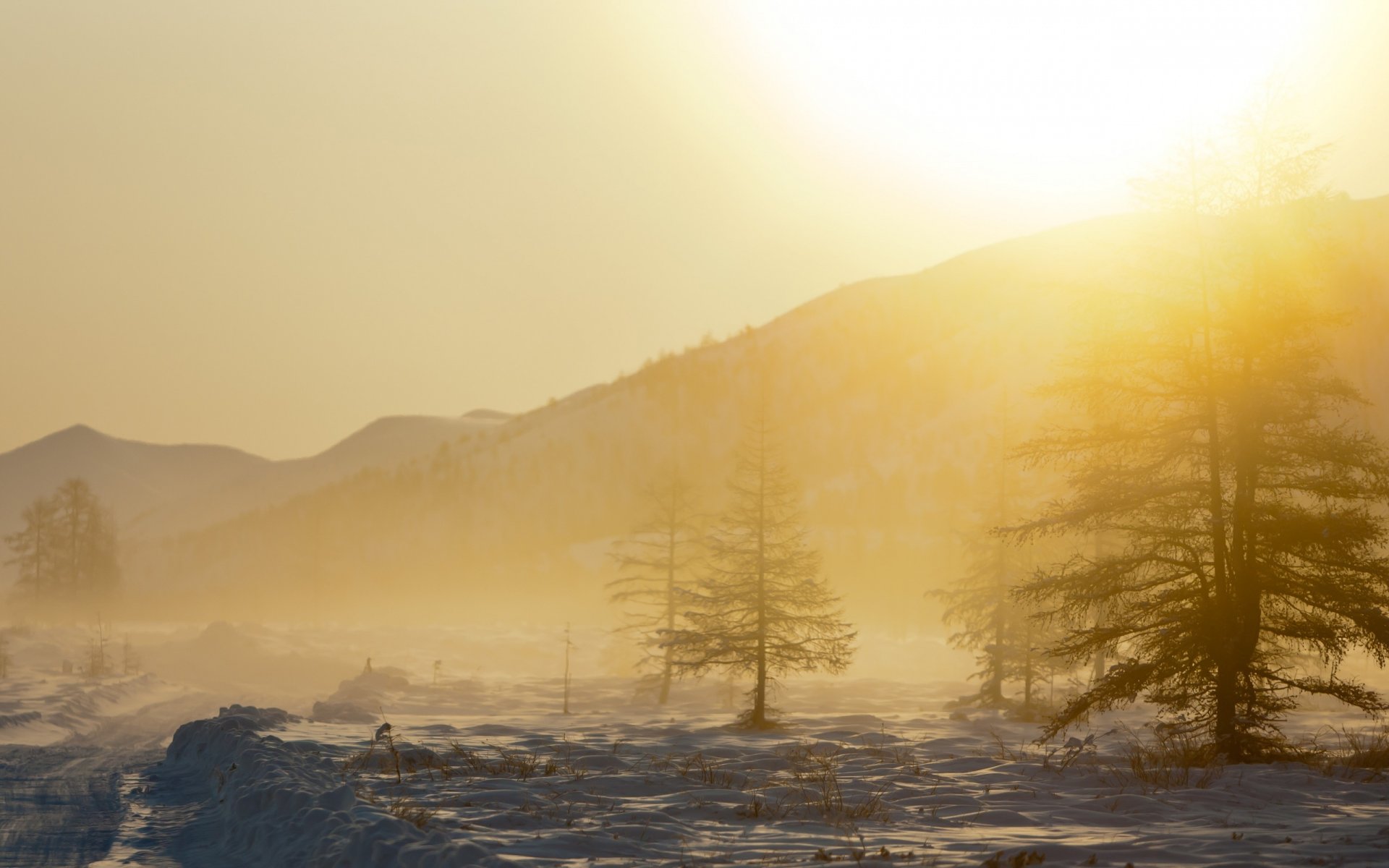 montagne neve alberi nebbia natura paesaggio