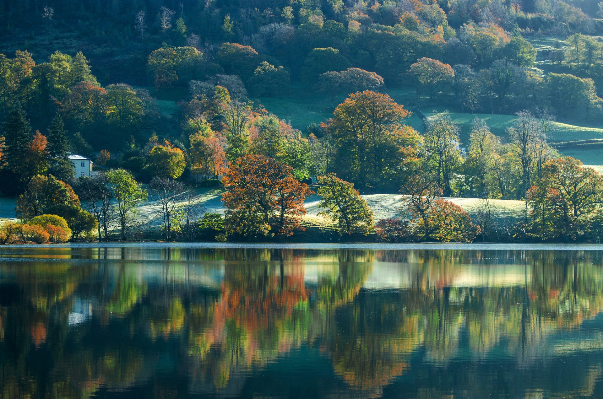 coniston cumbria angleterre lac pente arbres automne