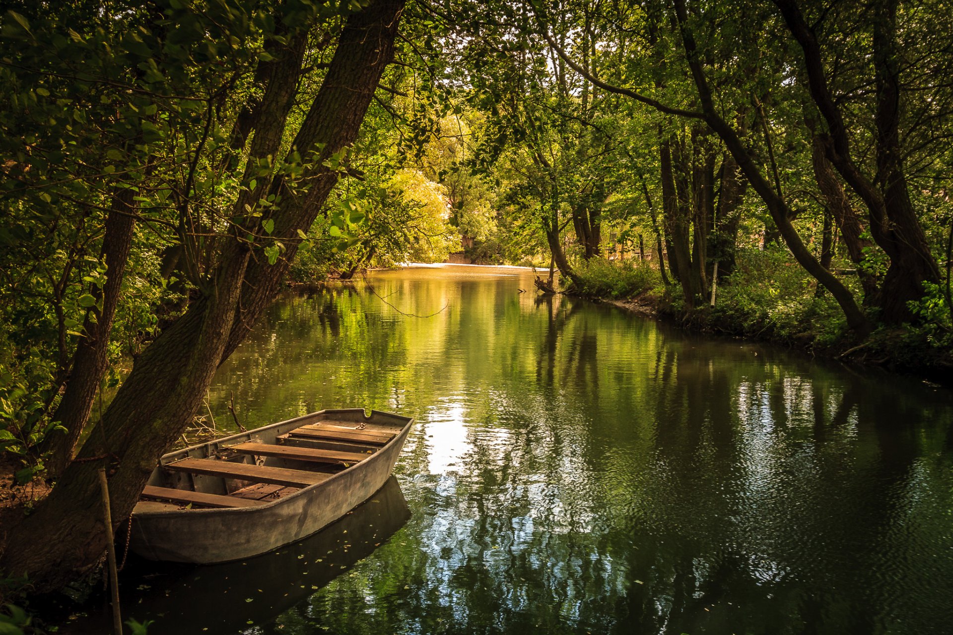 park jezioro staw łódź lato
