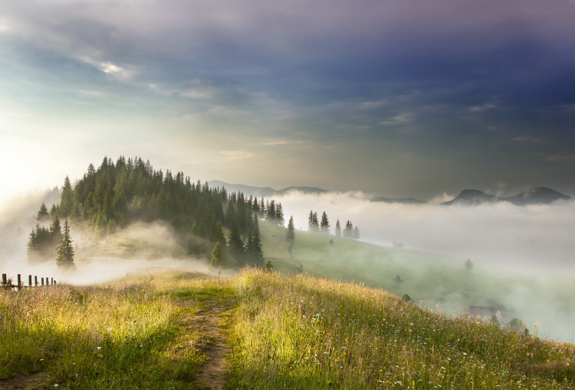 mountain fog landscape