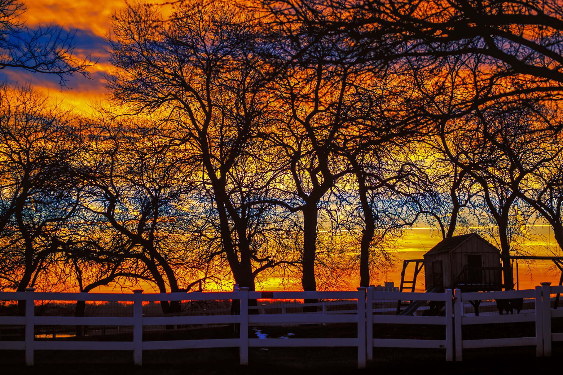 recinzione alberi tramonto