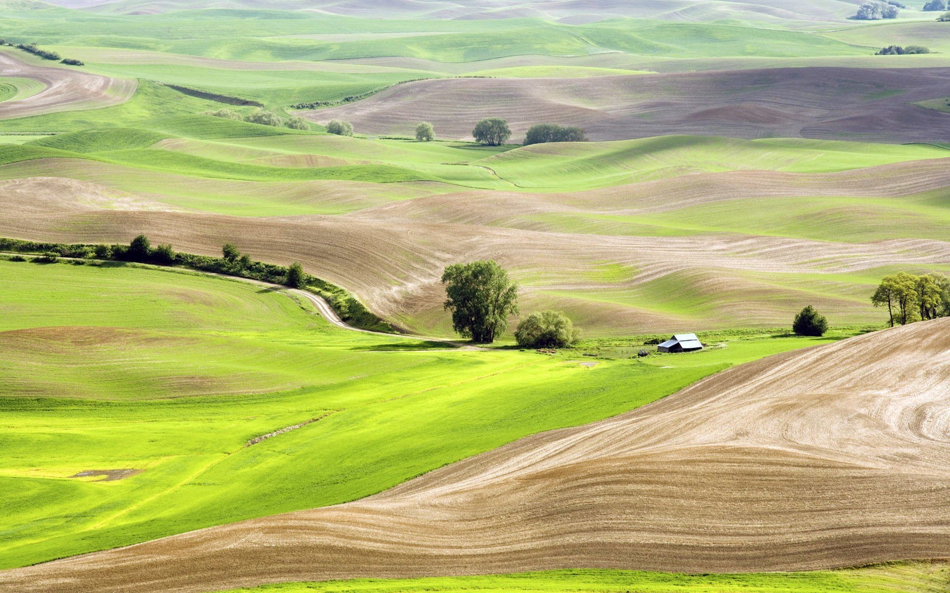 sommer hügel felder gras bäume hütte natur