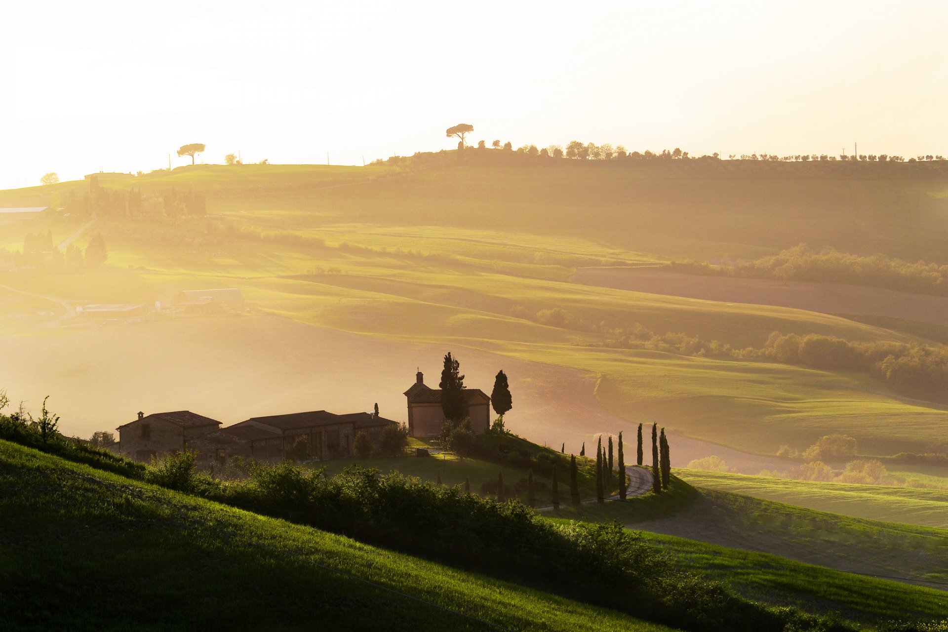 italien toskana nebel dämmerung
