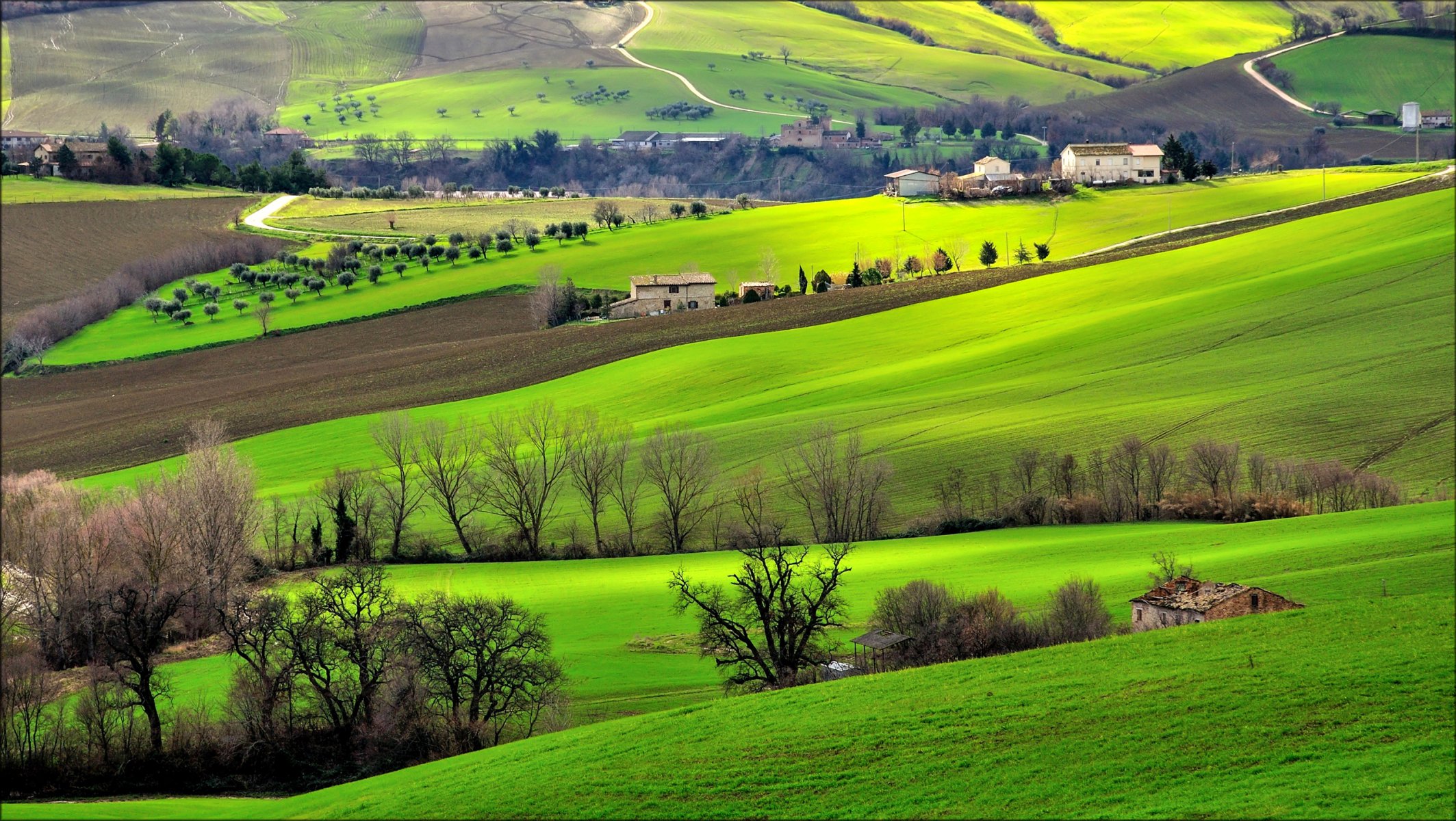 italien kampanien hügel gras felder bäume haus