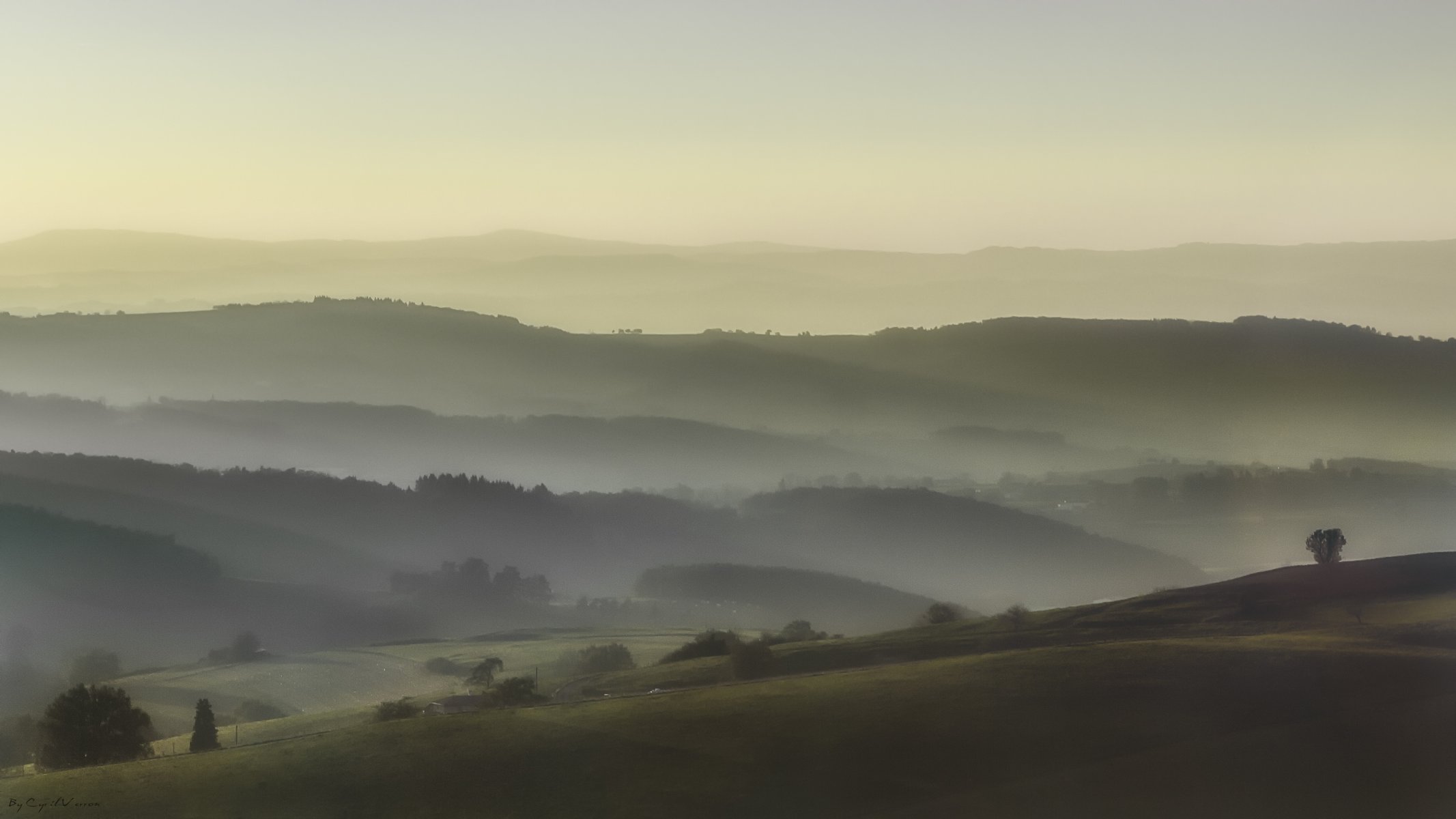 hügel ansicht morgen nebel bäume