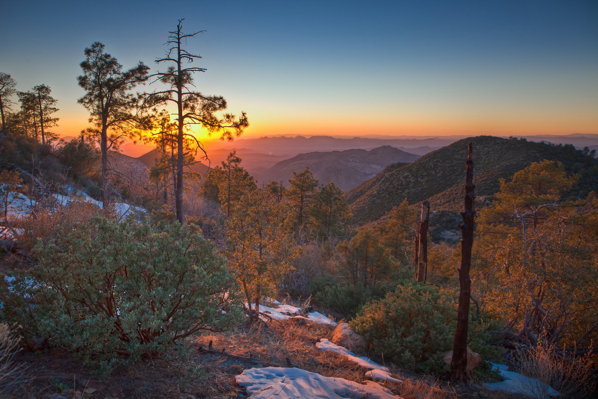 unrises and sunsets nature mountain tree snow bush photo