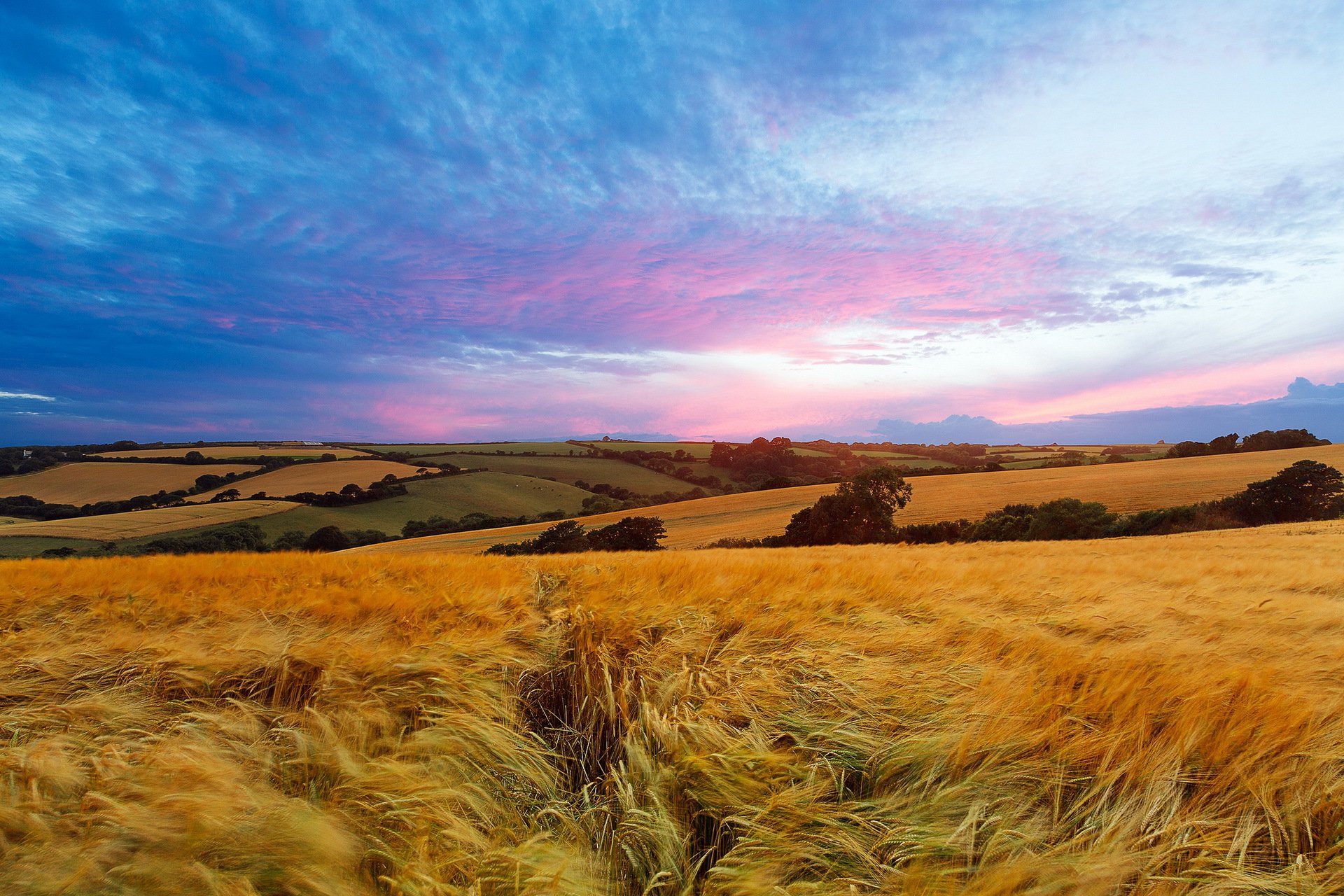 campo cielo estate paesaggio