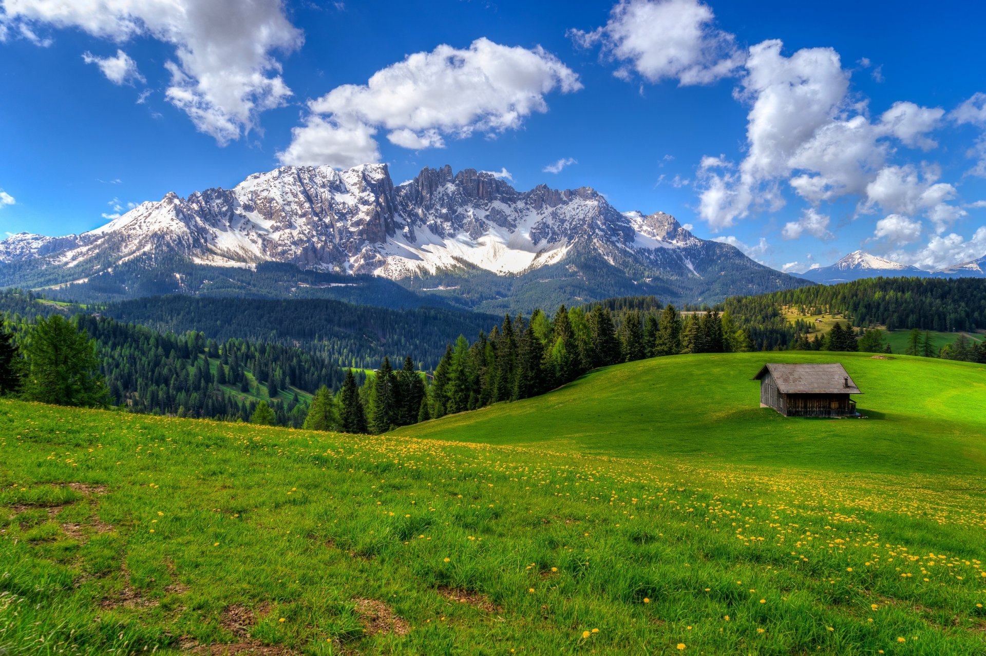 natur frühling berg haus rock himmel wald bäume straße zu fuß blumen frühling berge rock