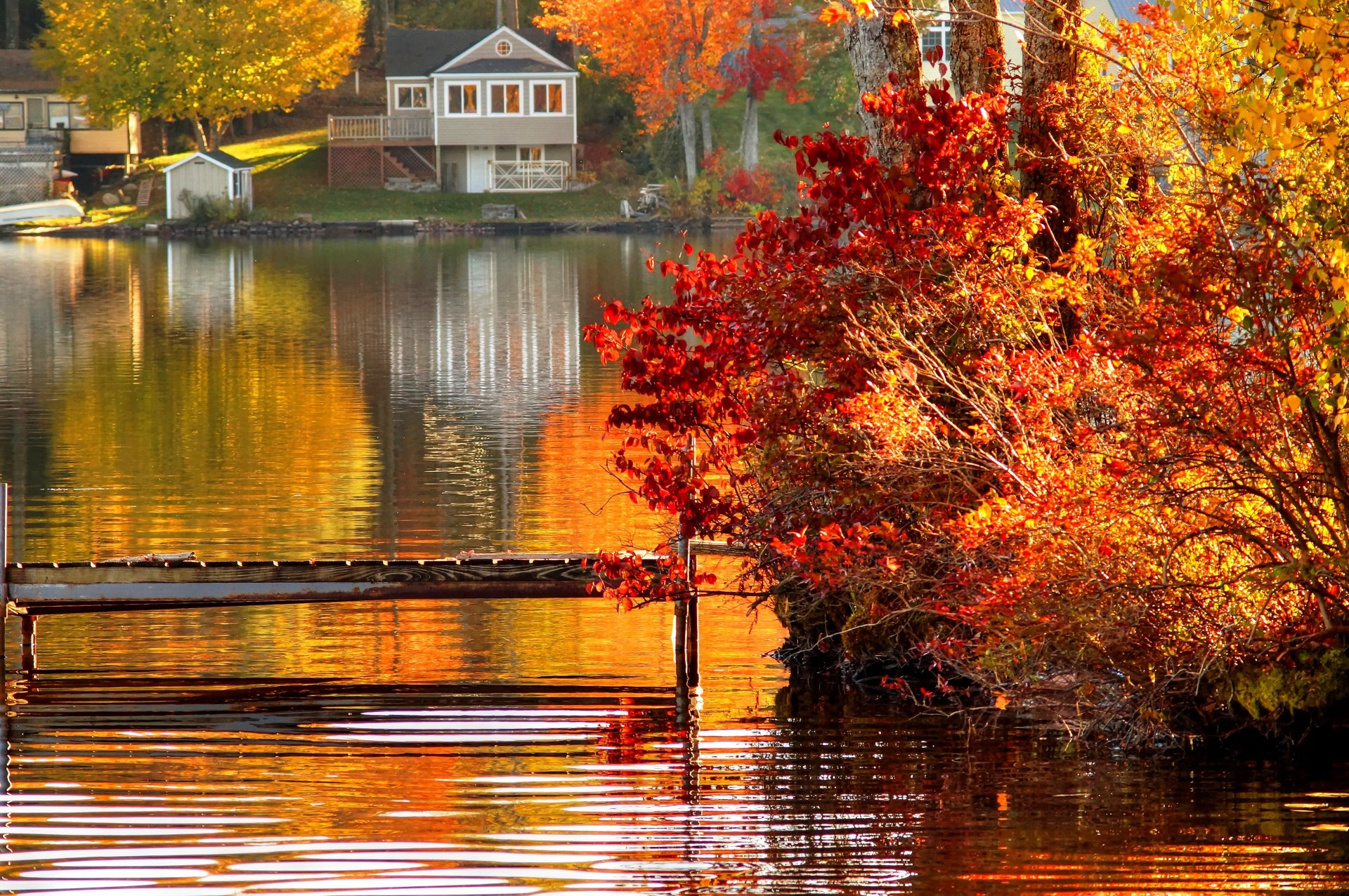 natur landschaft wald bäume herbst villa haus architektur vila haus durchsuchen
