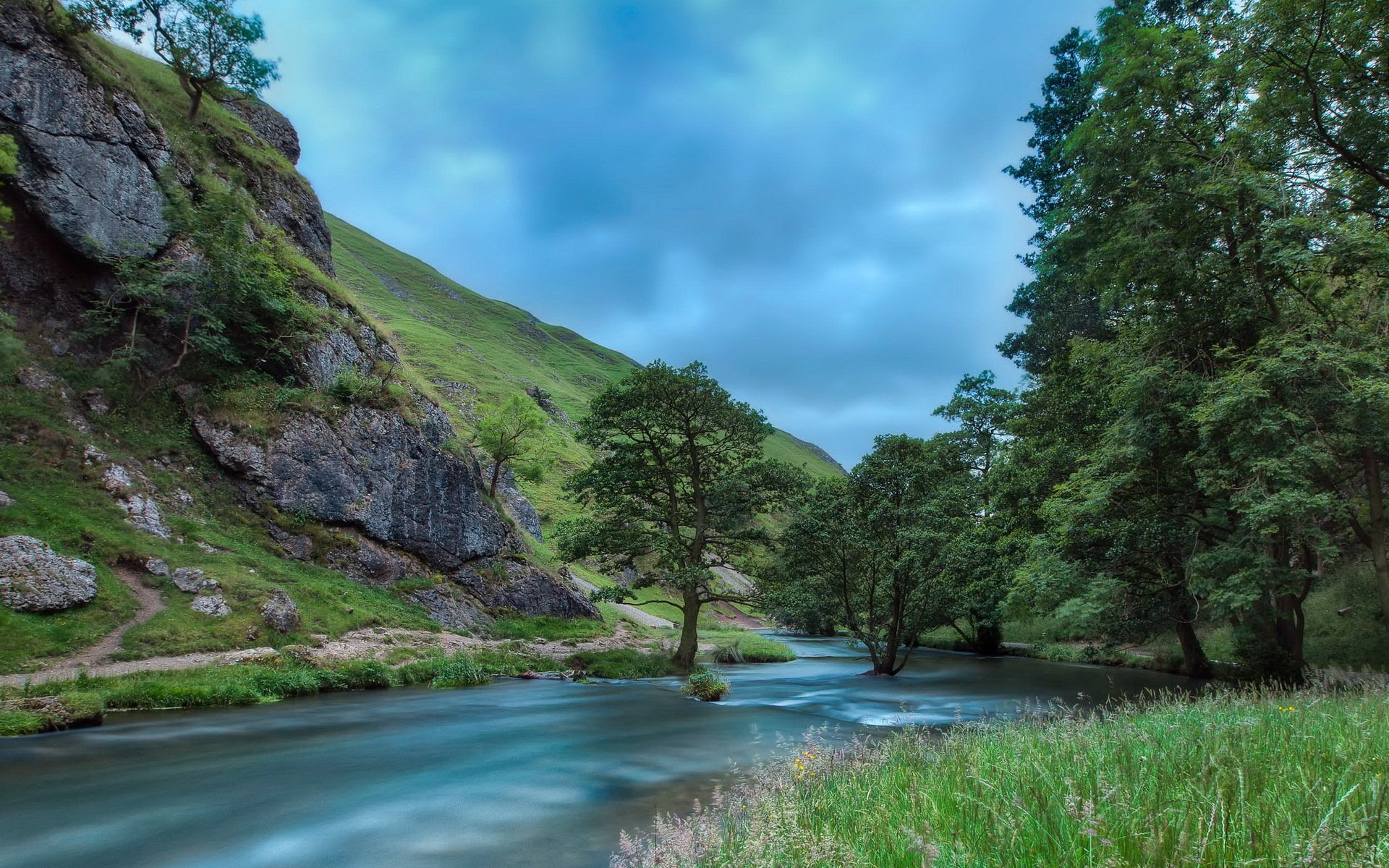 river summer nature