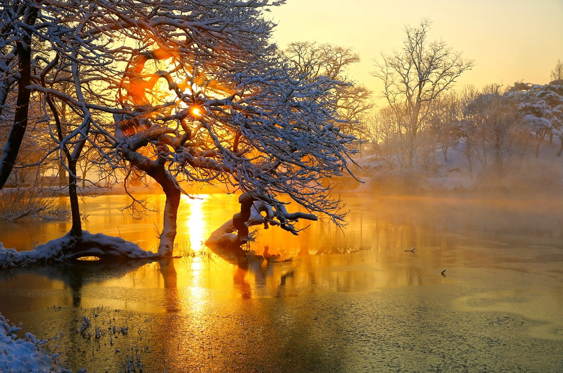 natura hdr krajobraz sezon zima zobacz kolory śnieg lód chmury niebo zachód drzewo drzewa rzeka zima widok kolor rzeka